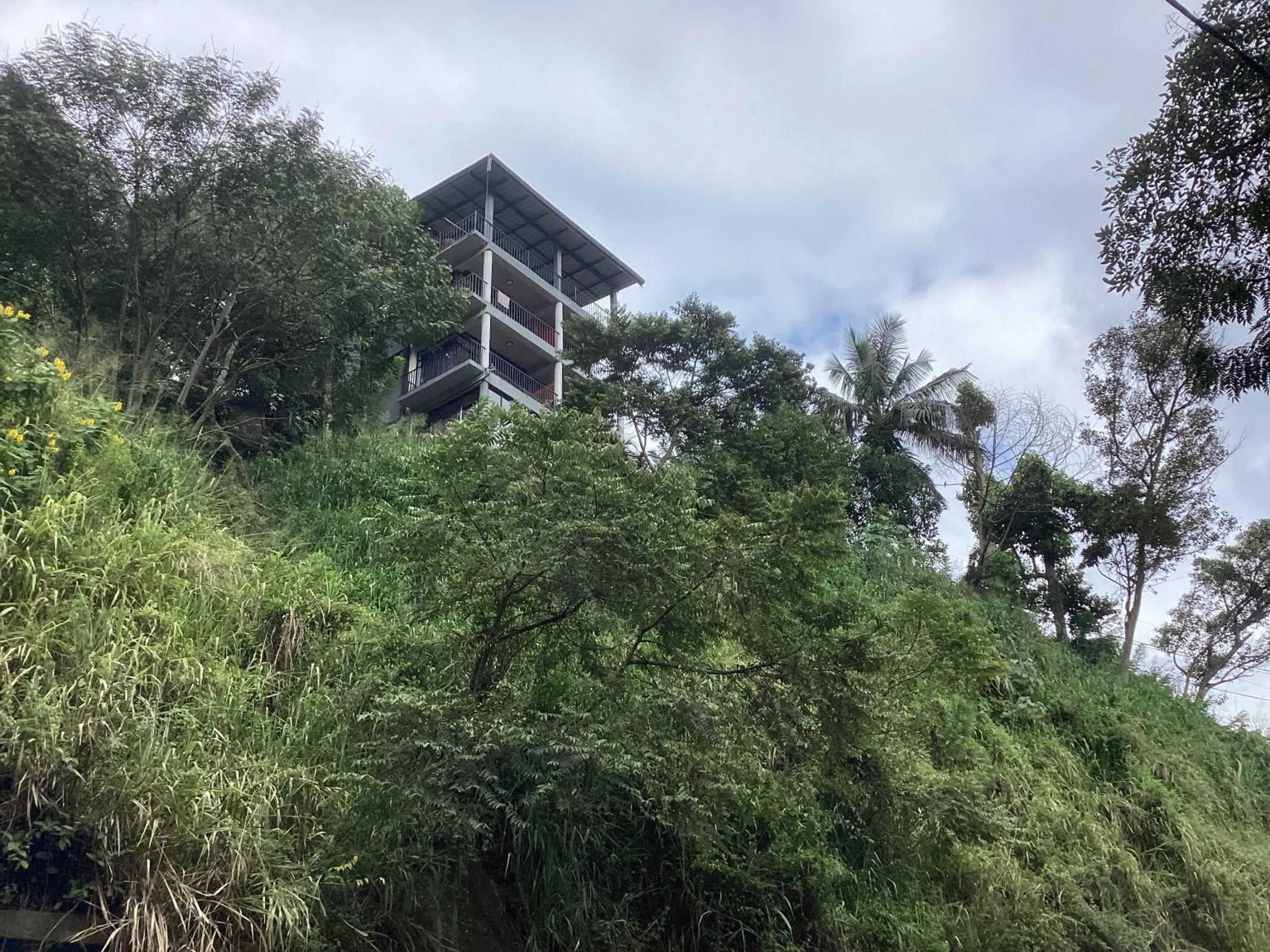 Property building in Viewfront Ella