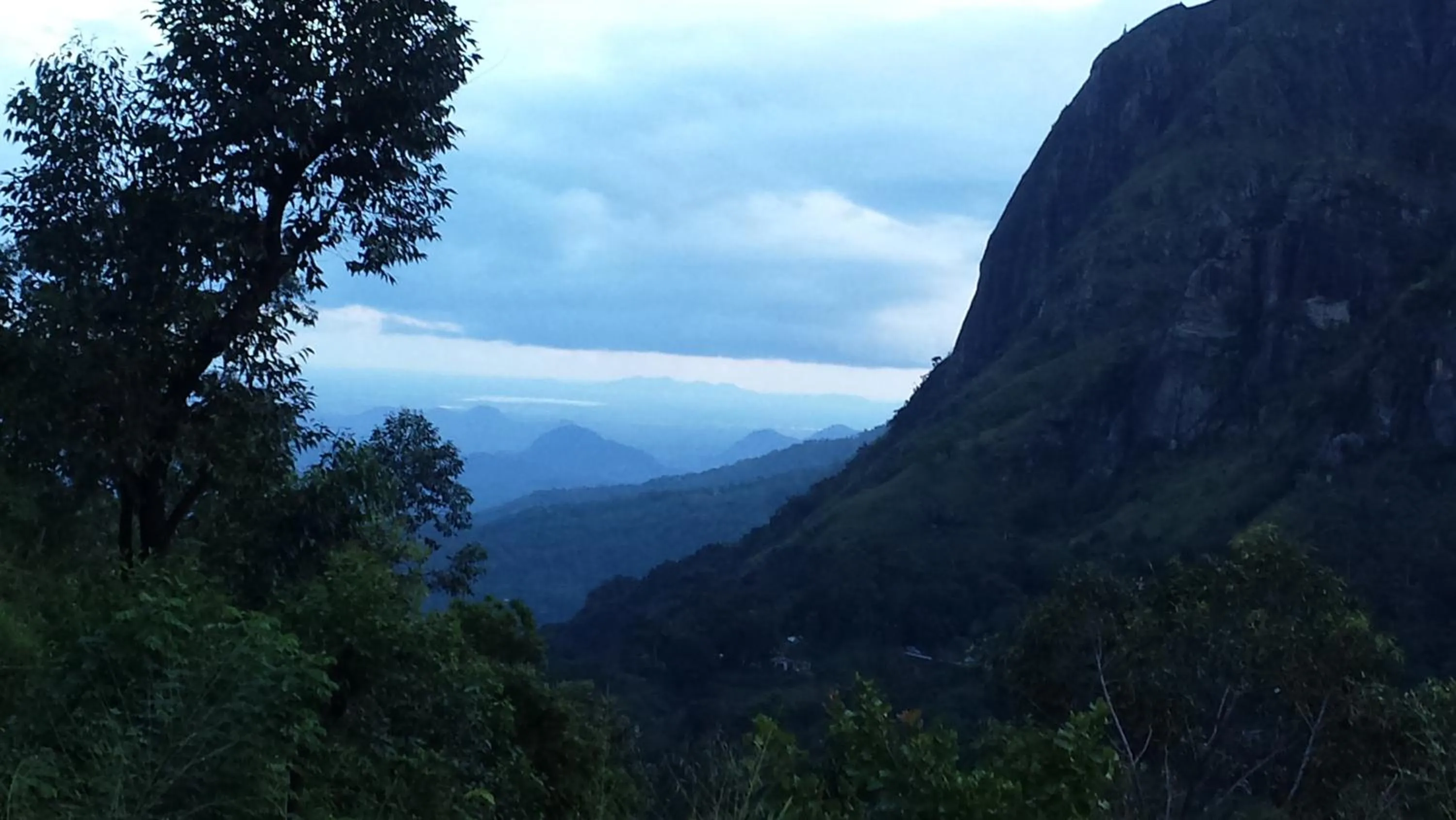 Garden in Viewfront Ella