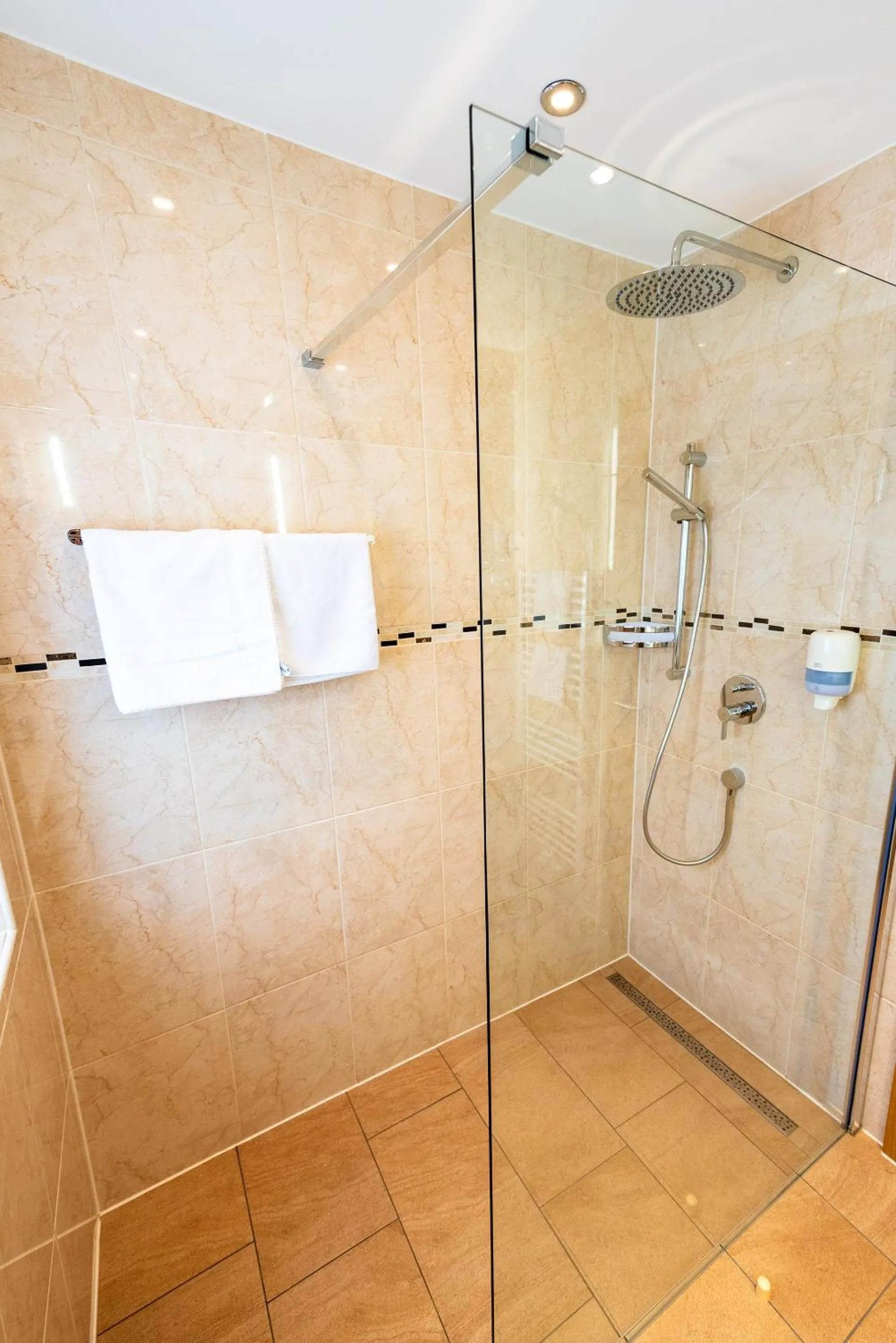 Shower in Hotel zum grünen Tor