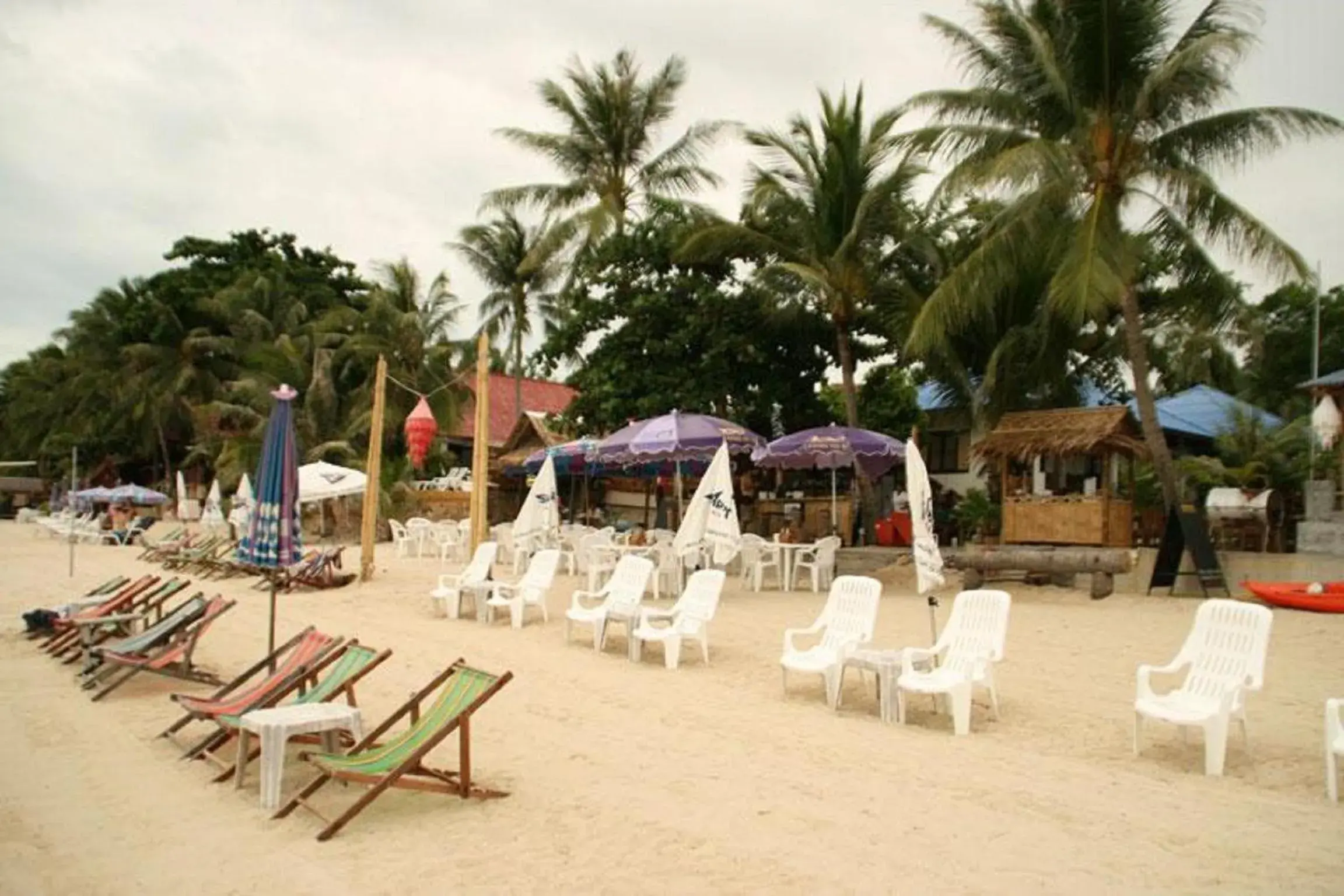 Restaurant/places to eat in Marina Beach Resort - SHA Extra Plus Restaurant/places to eat in Marina Beach Resort - SHA Extra Plus