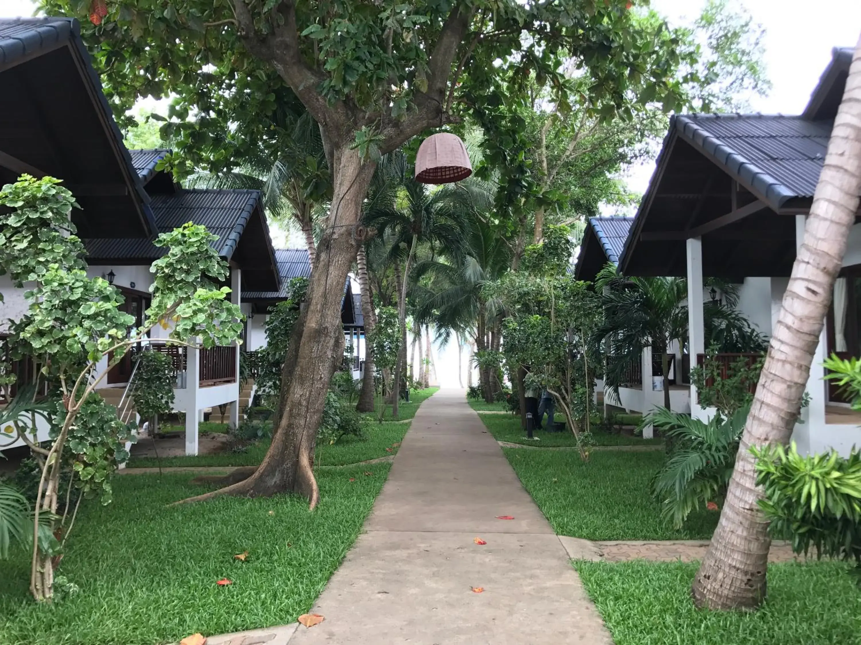 Garden view in Marina Beach Resort - SHA Extra Plus Garden view in Marina Beach Resort - SHA Extra Plus