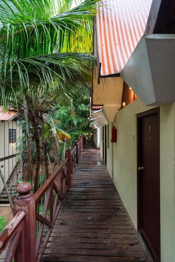 Mango Hill Auroville Pondicherry