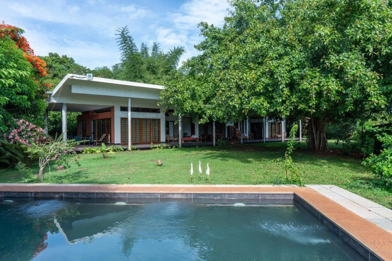 Mango Hill Auroville Pondicherry