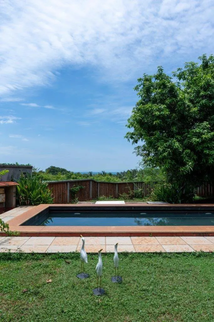 Mango Hill Auroville Pondicherry