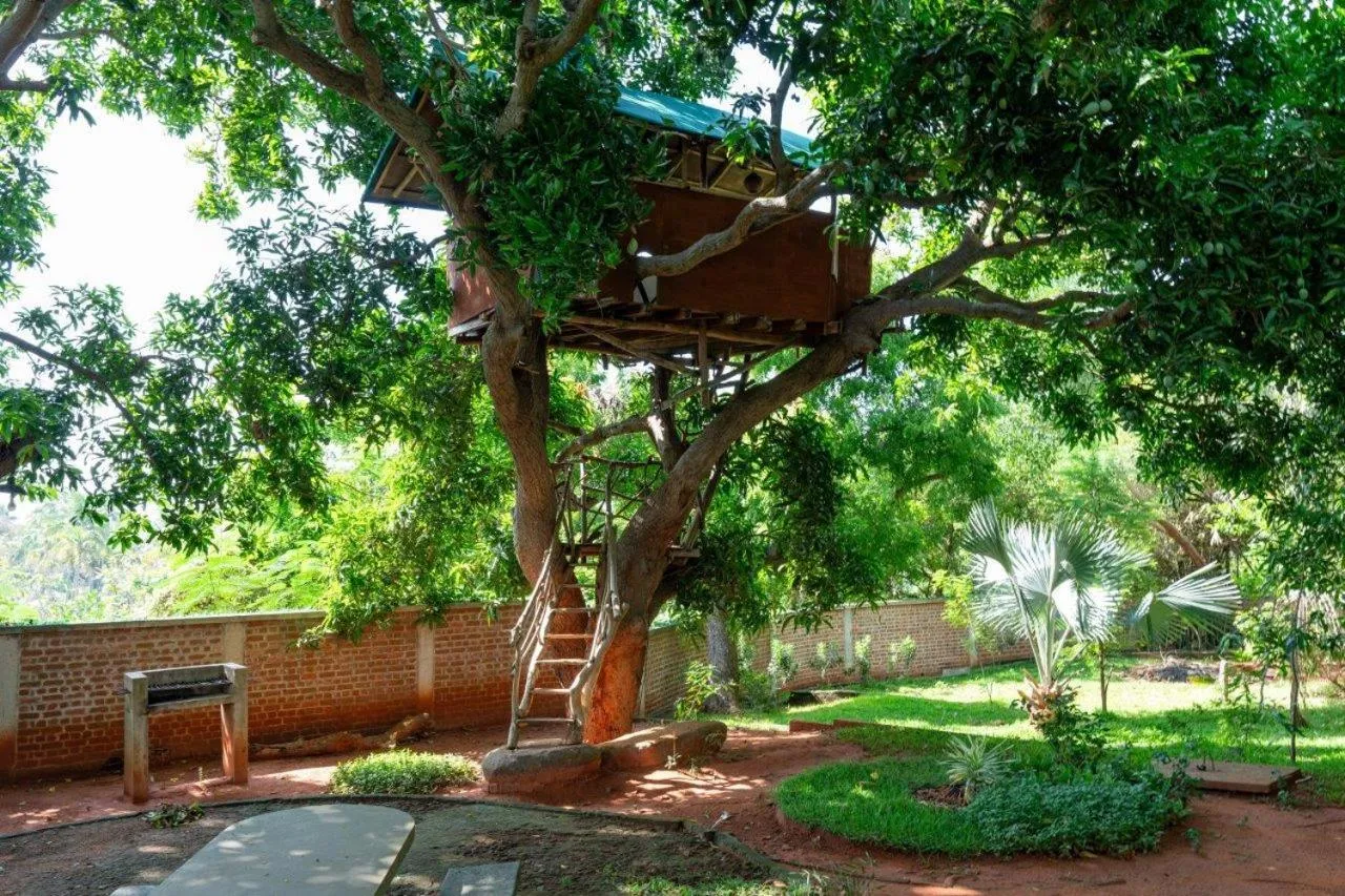 Mango Hill Auroville Pondicherry