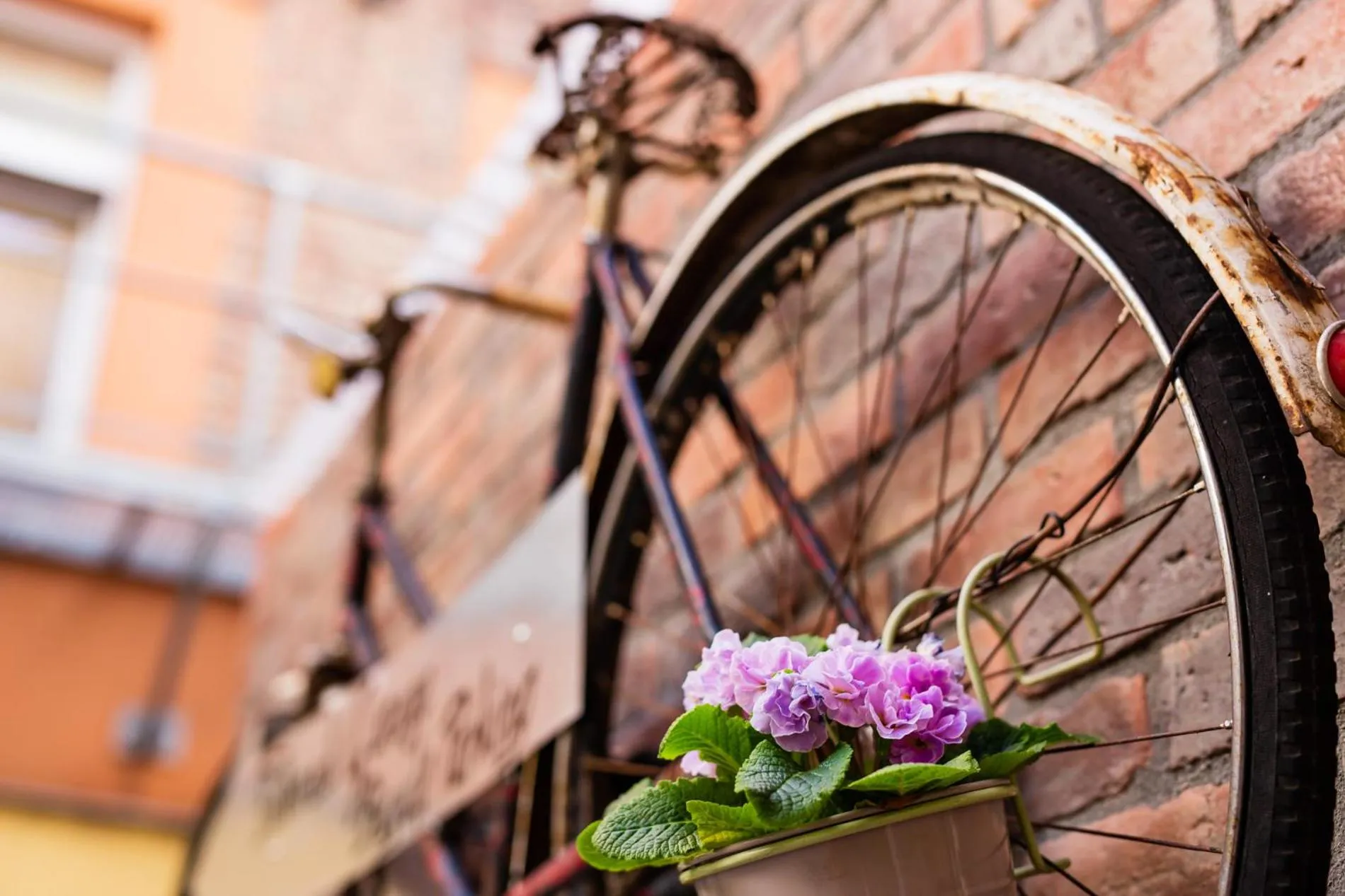 Day in Do Step Inn Home - Hotel & Hostel