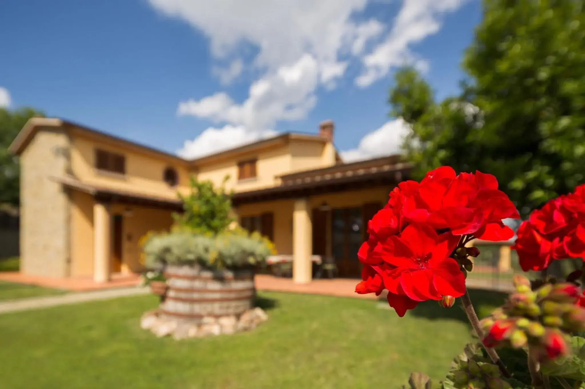 Deluxe Villa in Poggio Pellicciaia Deluxe Villa in Poggio Pellicciaia