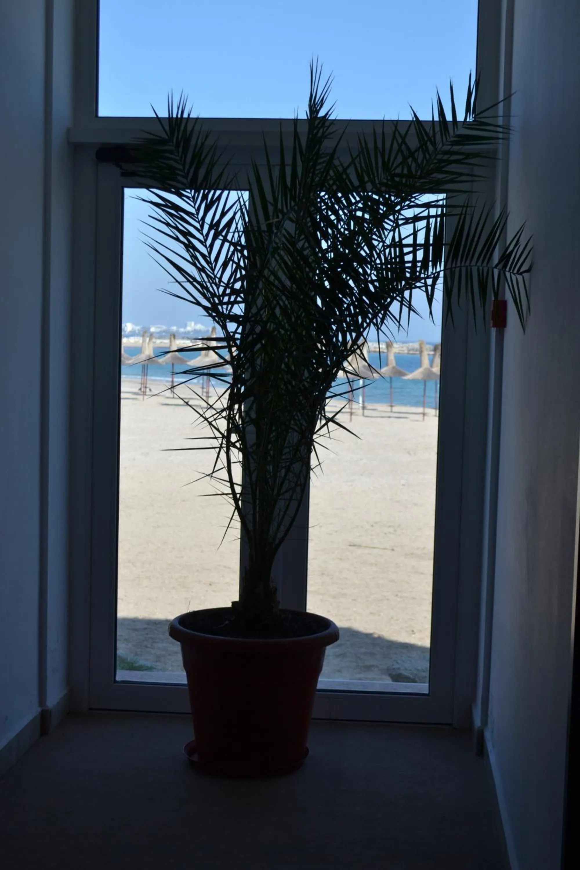 Summer in Hotel Laguna