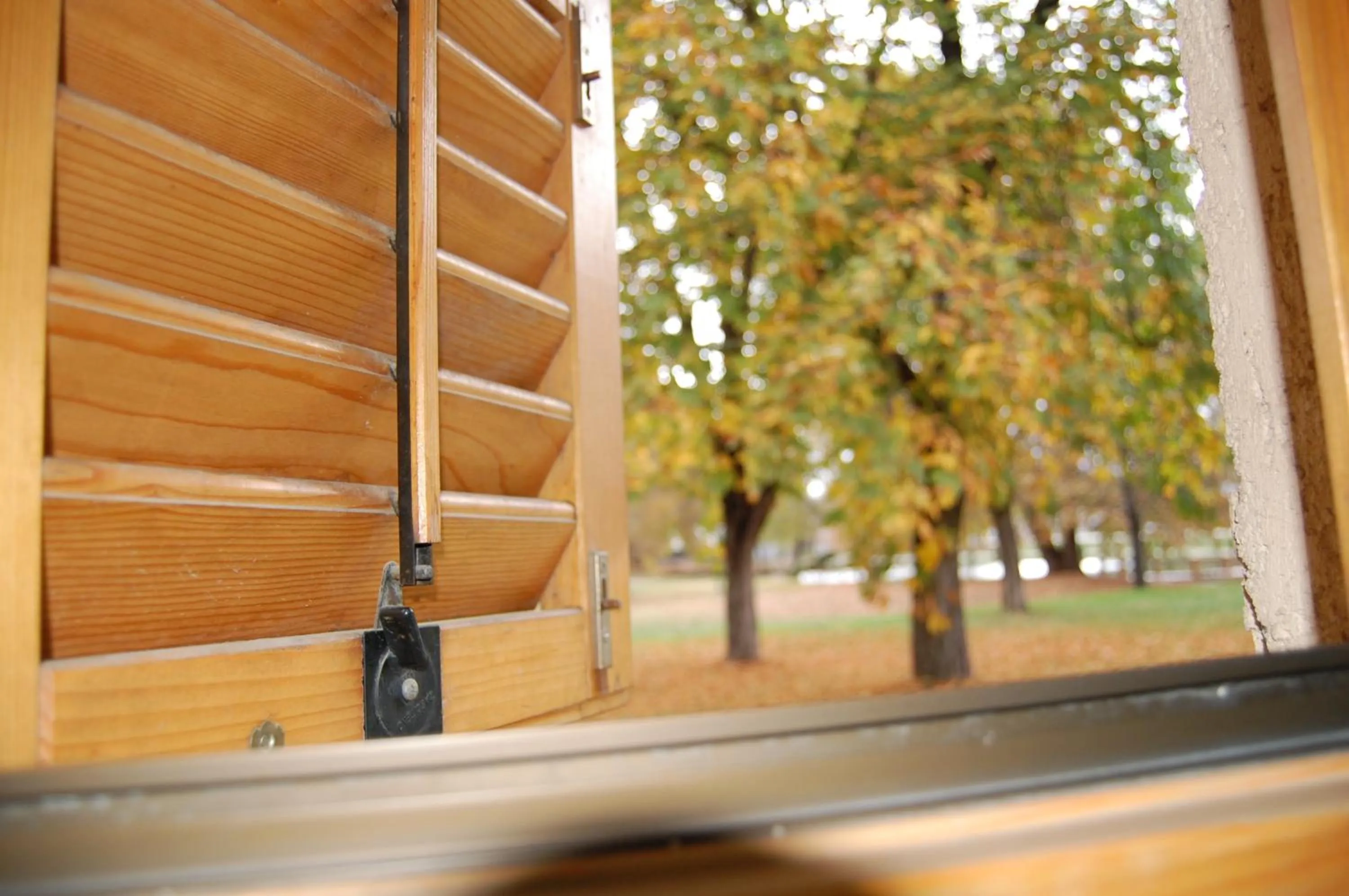 Garden view in B&B Kanet