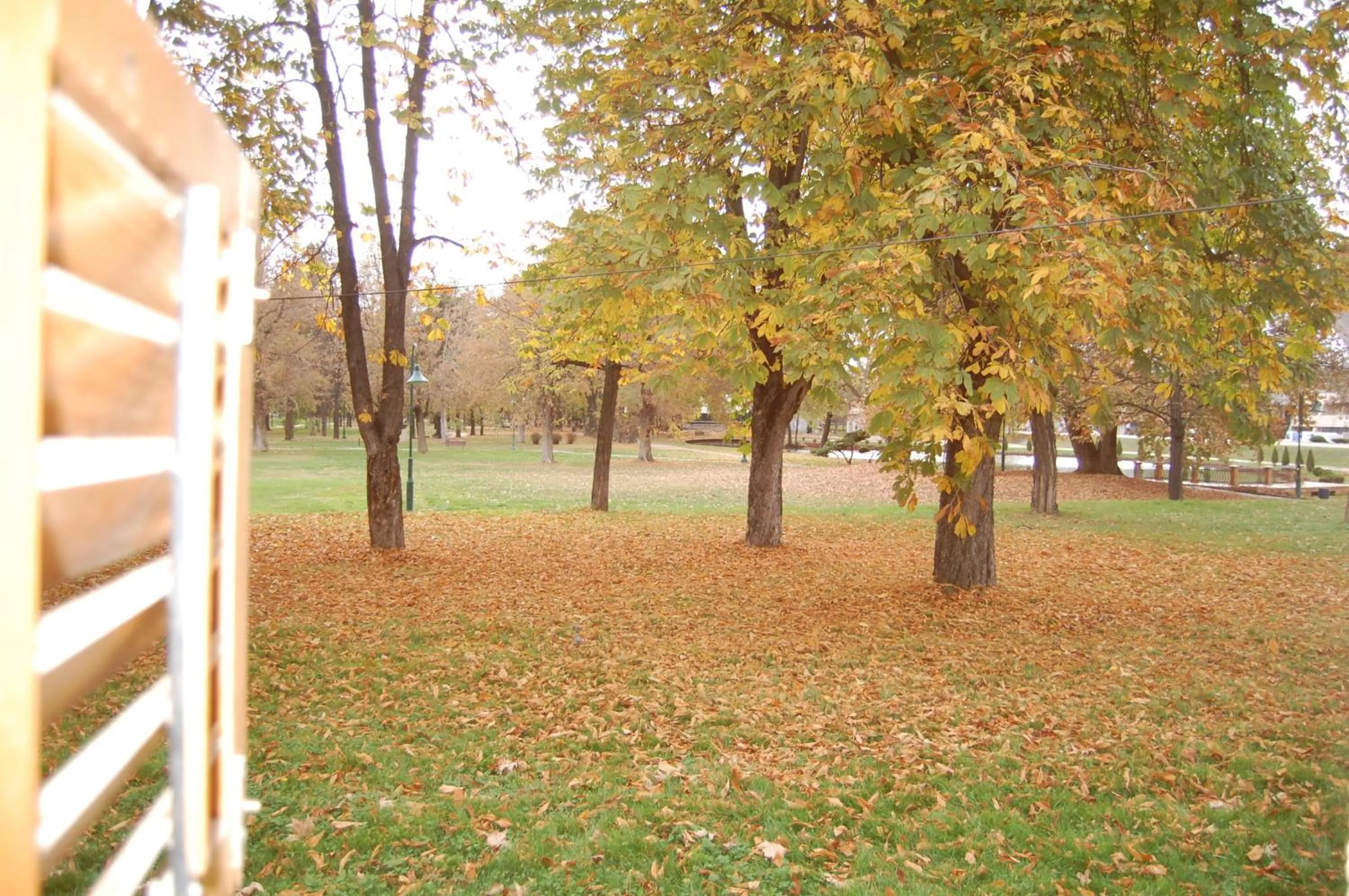 Natural landscape in B&B Kanet