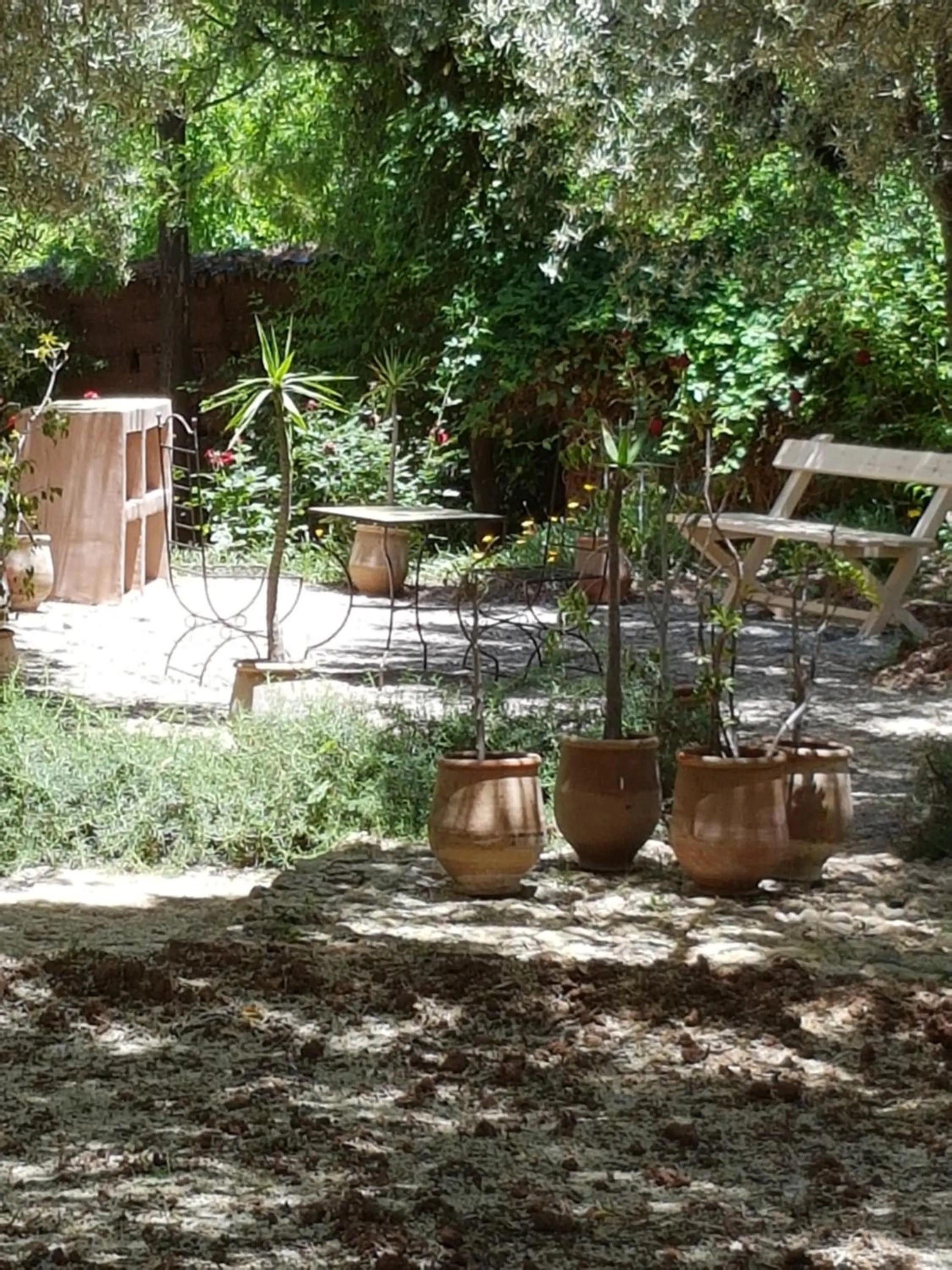 Garden in Domaine La Source