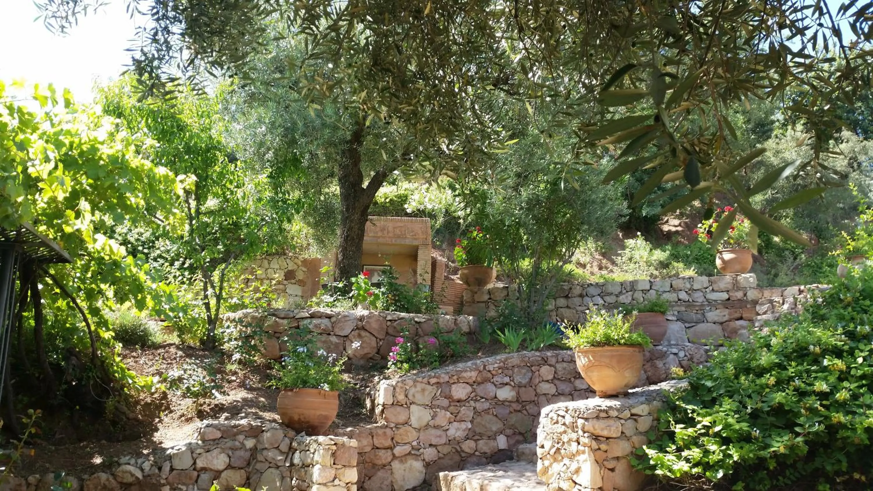 Garden in Domaine La Source
