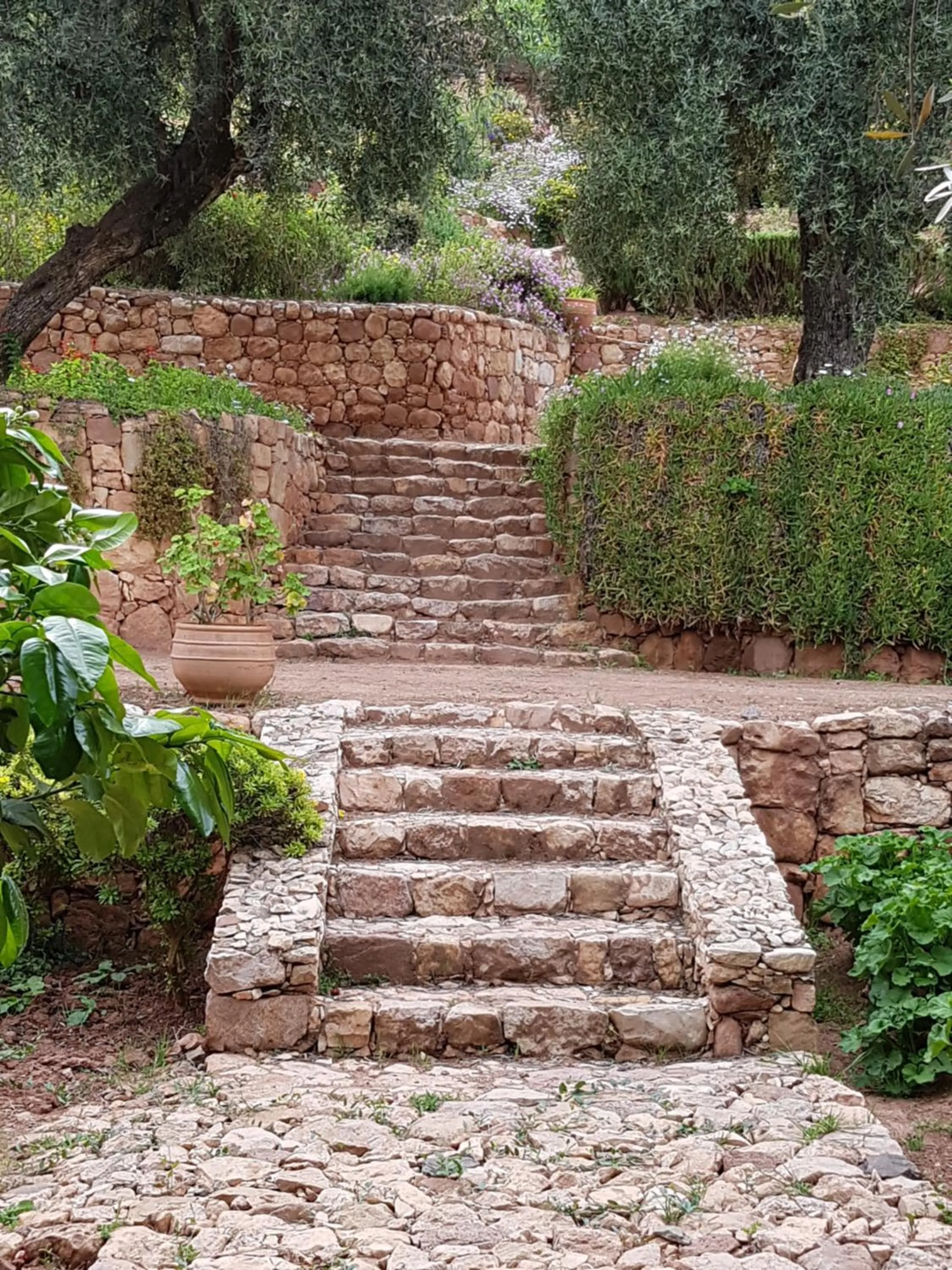 Garden in Domaine La Source