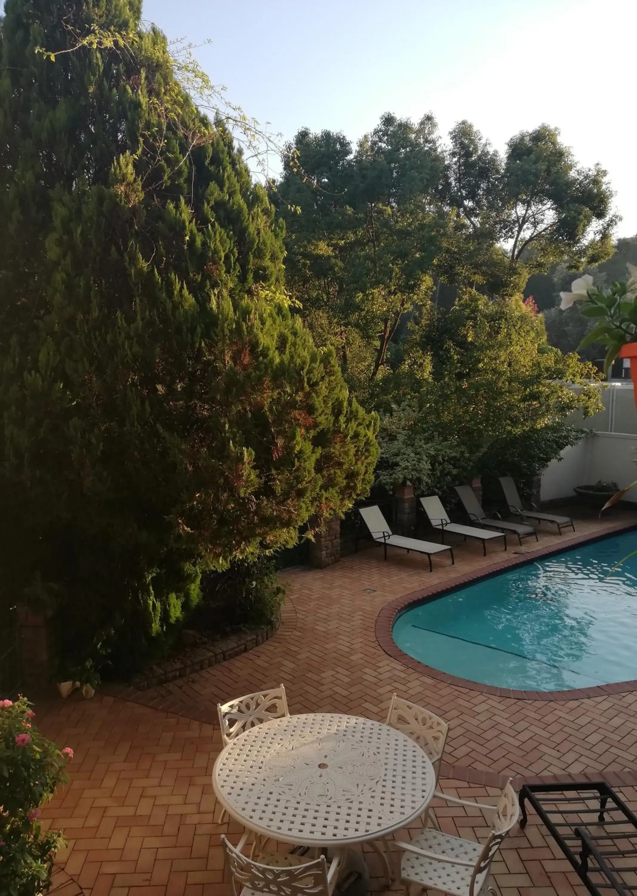 Bird's eye view in Edenwood House Bird's eye view in Edenwood House