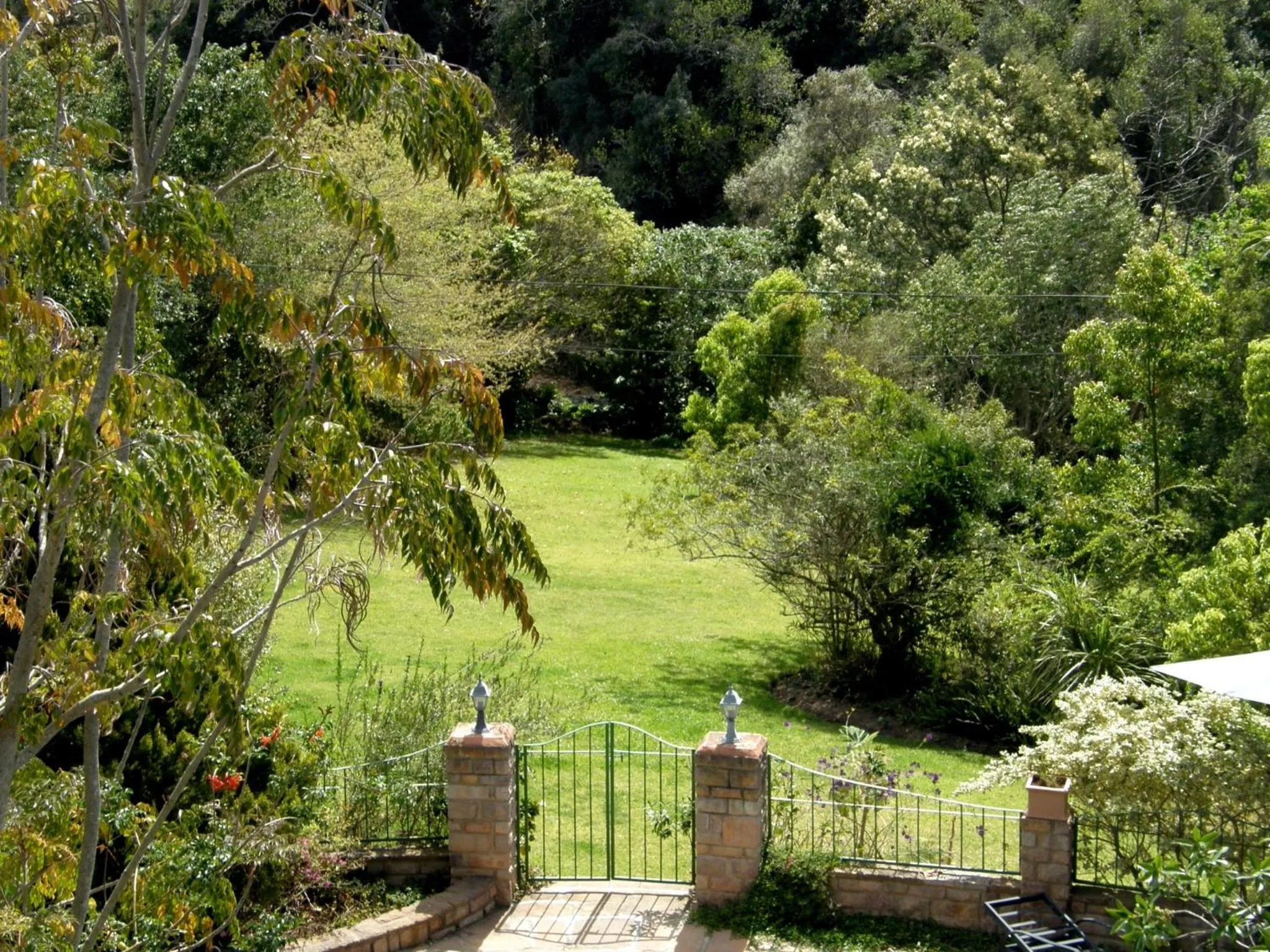 Garden in Edenwood House