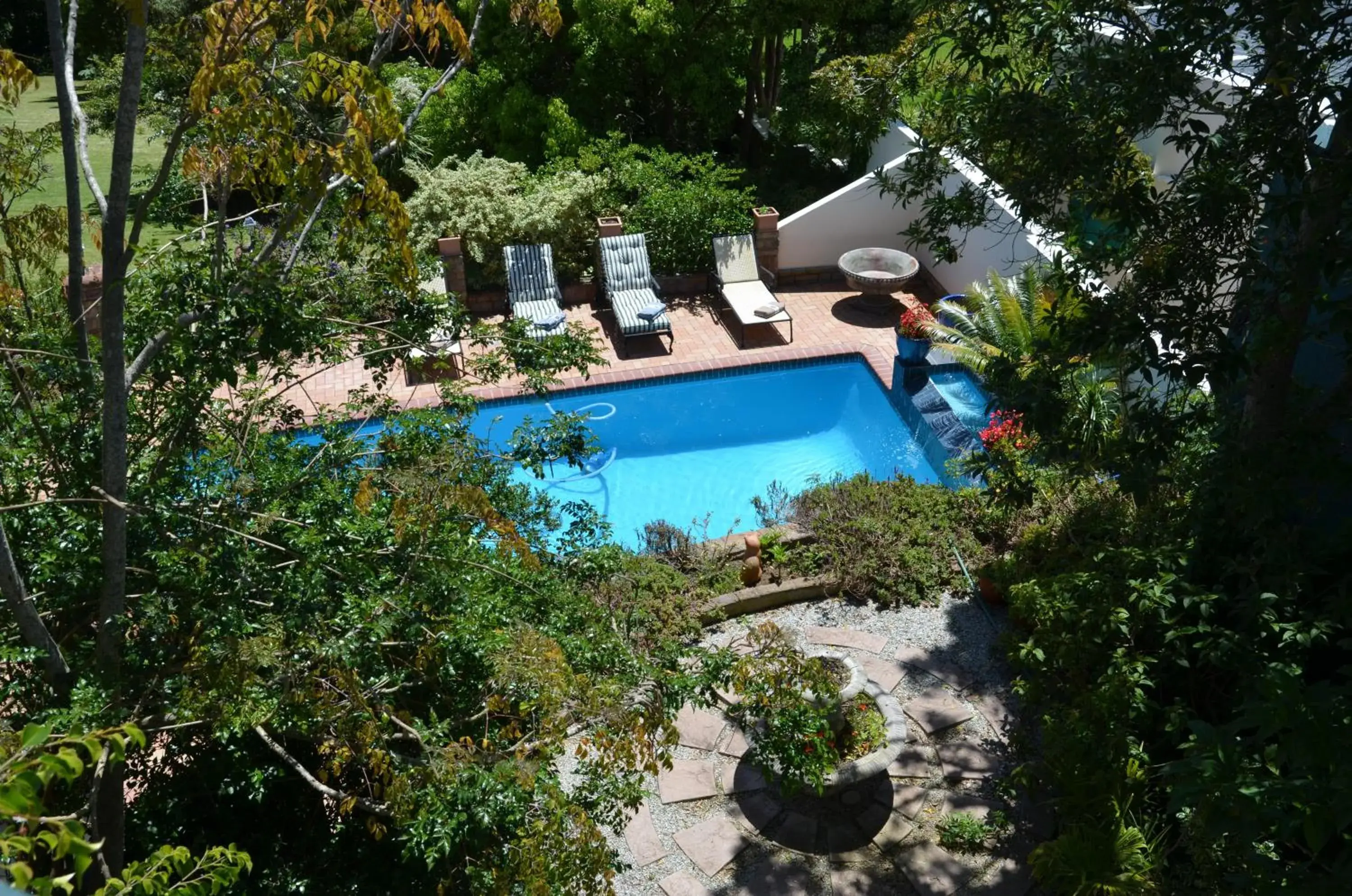 Swimming pool in Edenwood House Swimming pool in Edenwood House