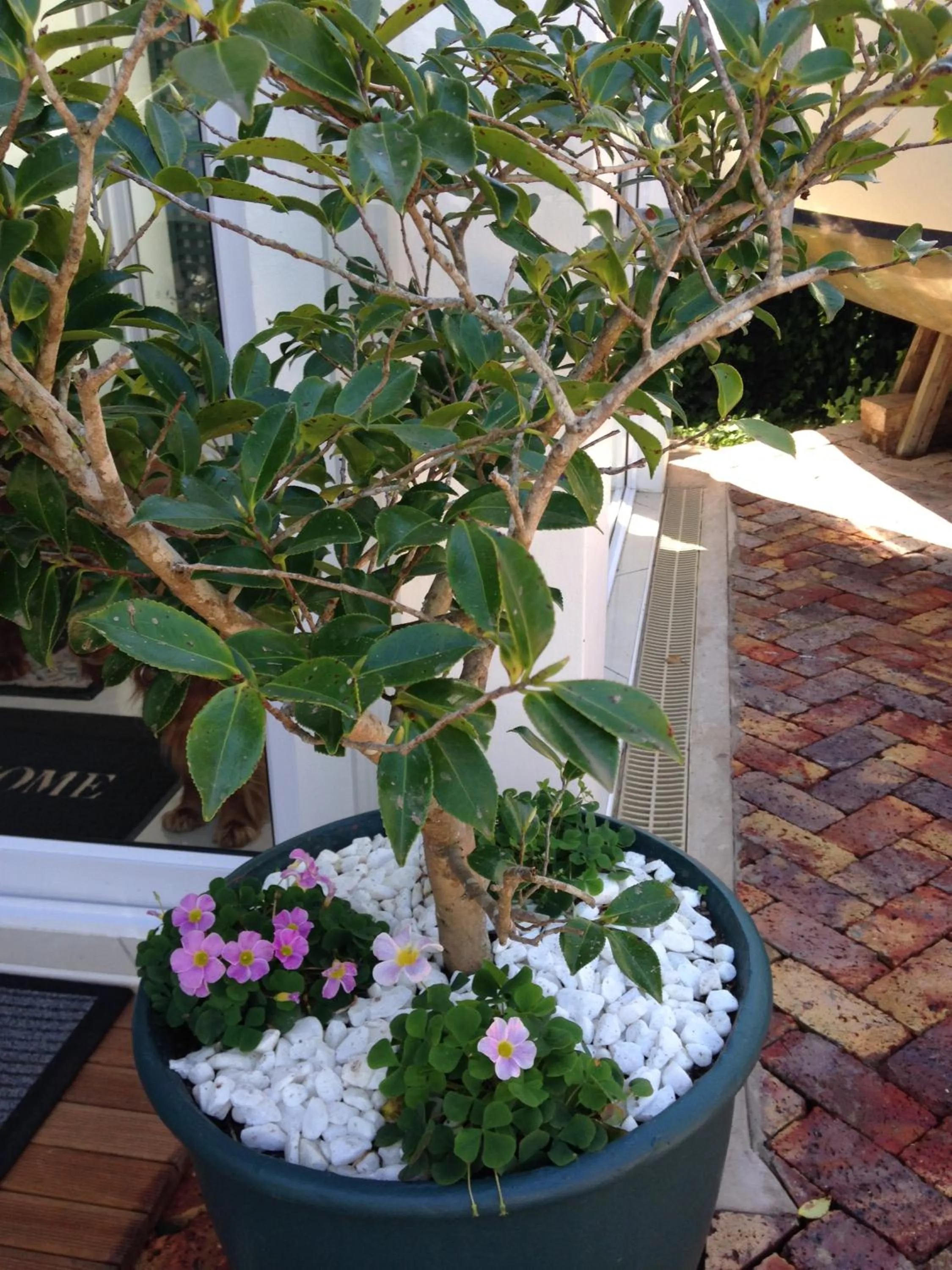 Facade/entrance in Edenwood House