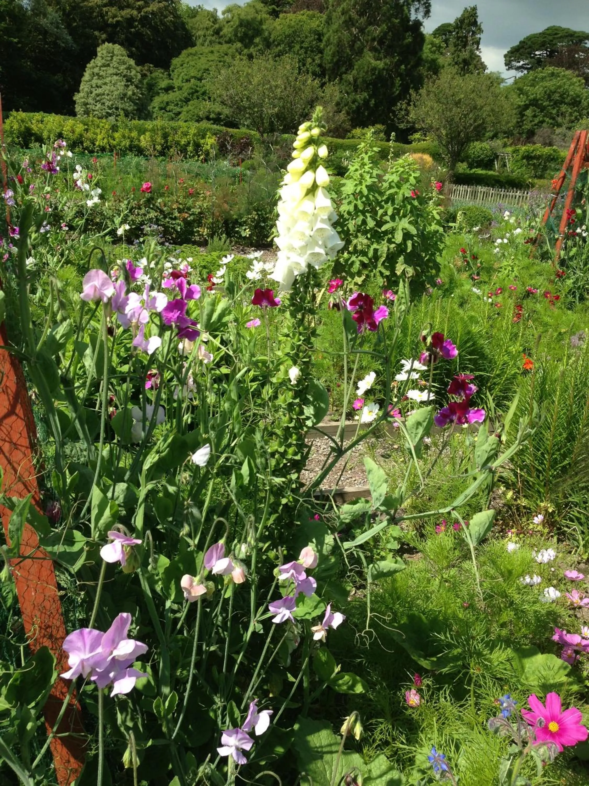 Garden in Marlfield House Hotel Relais et Chateaux