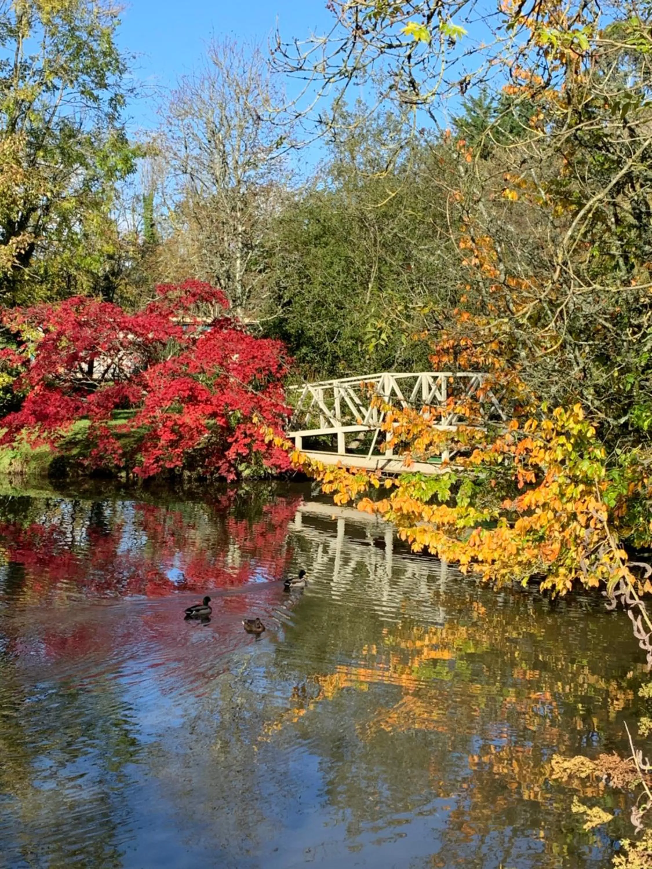 Lake view in Marlfield House Hotel Relais et Chateaux