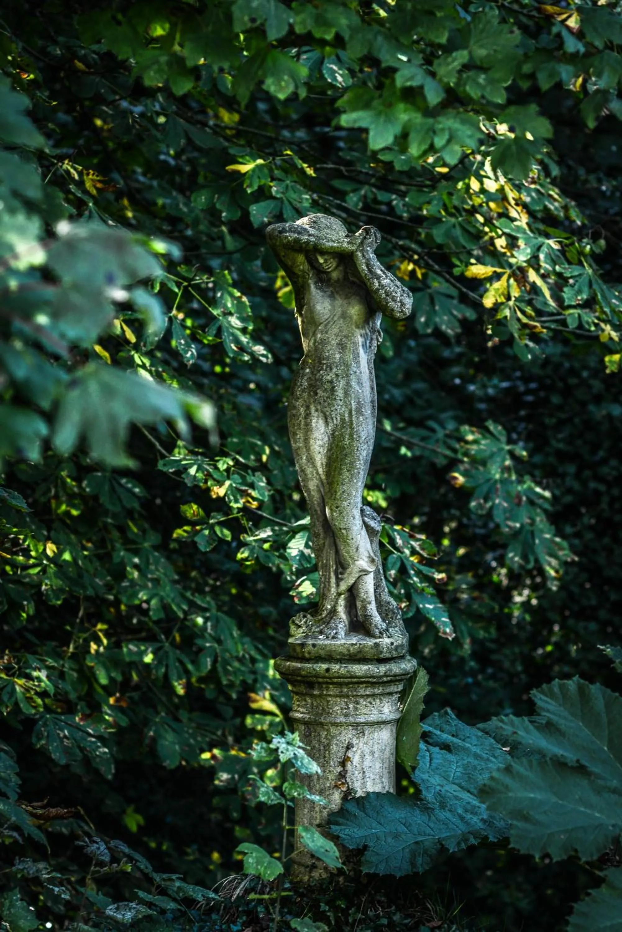 Natural landscape in Marlfield House Hotel Relais et Chateaux
