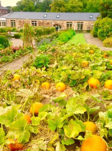 Garden view in Marlfield House Hotel Relais et Chateaux