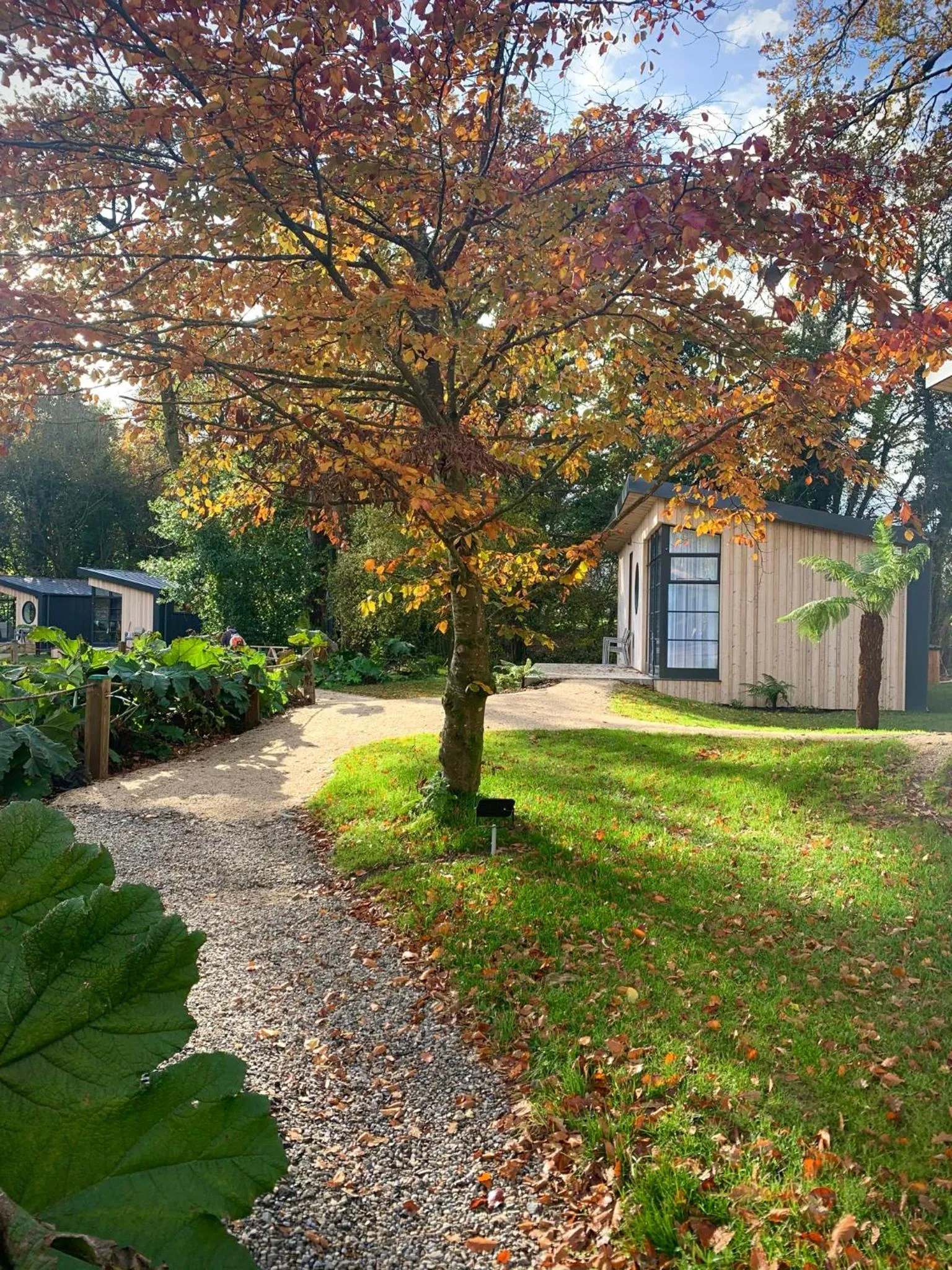 Lake view in Marlfield House Hotel Relais et Chateaux