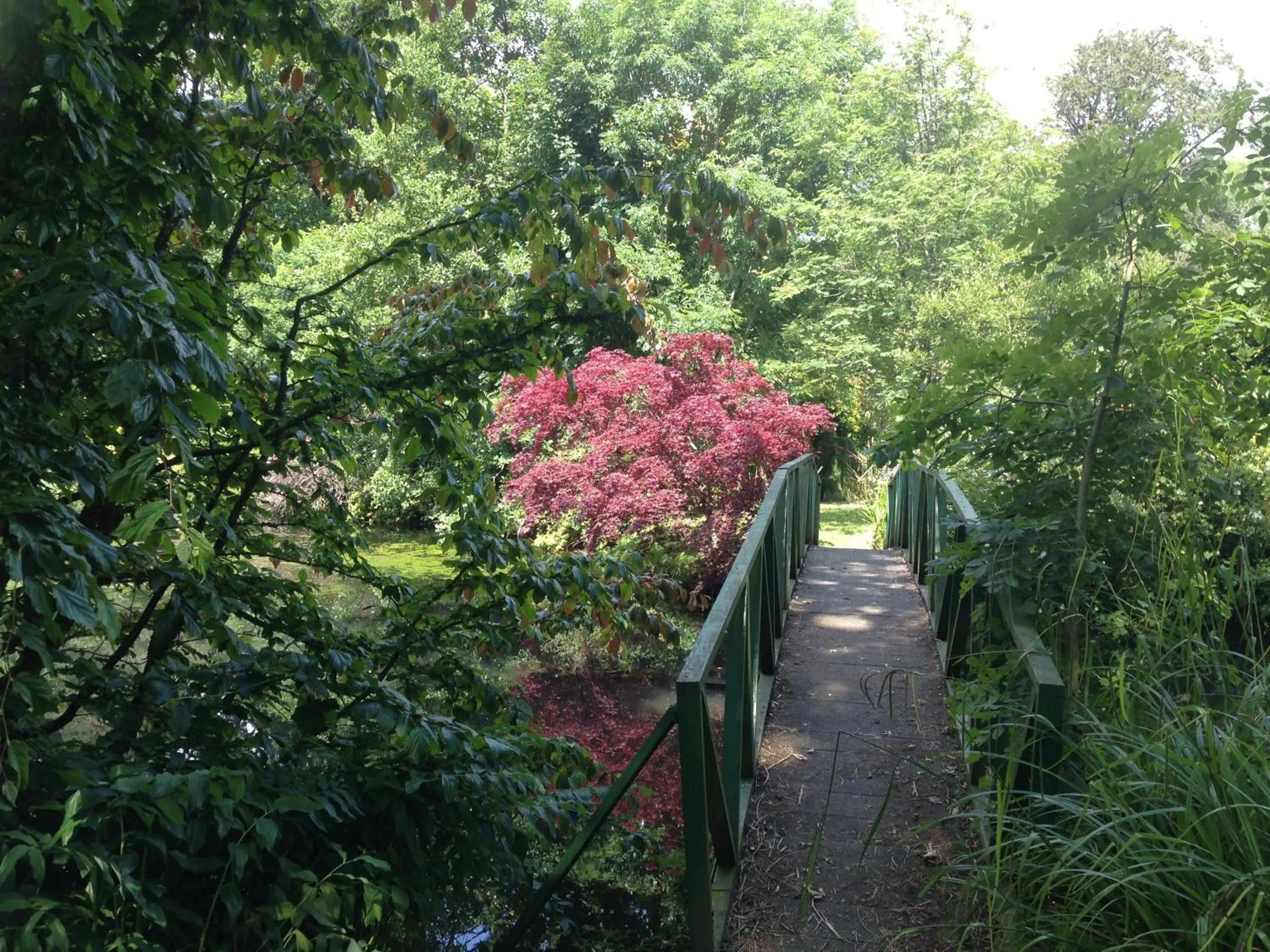 Garden in Marlfield House Hotel Relais et Chateaux