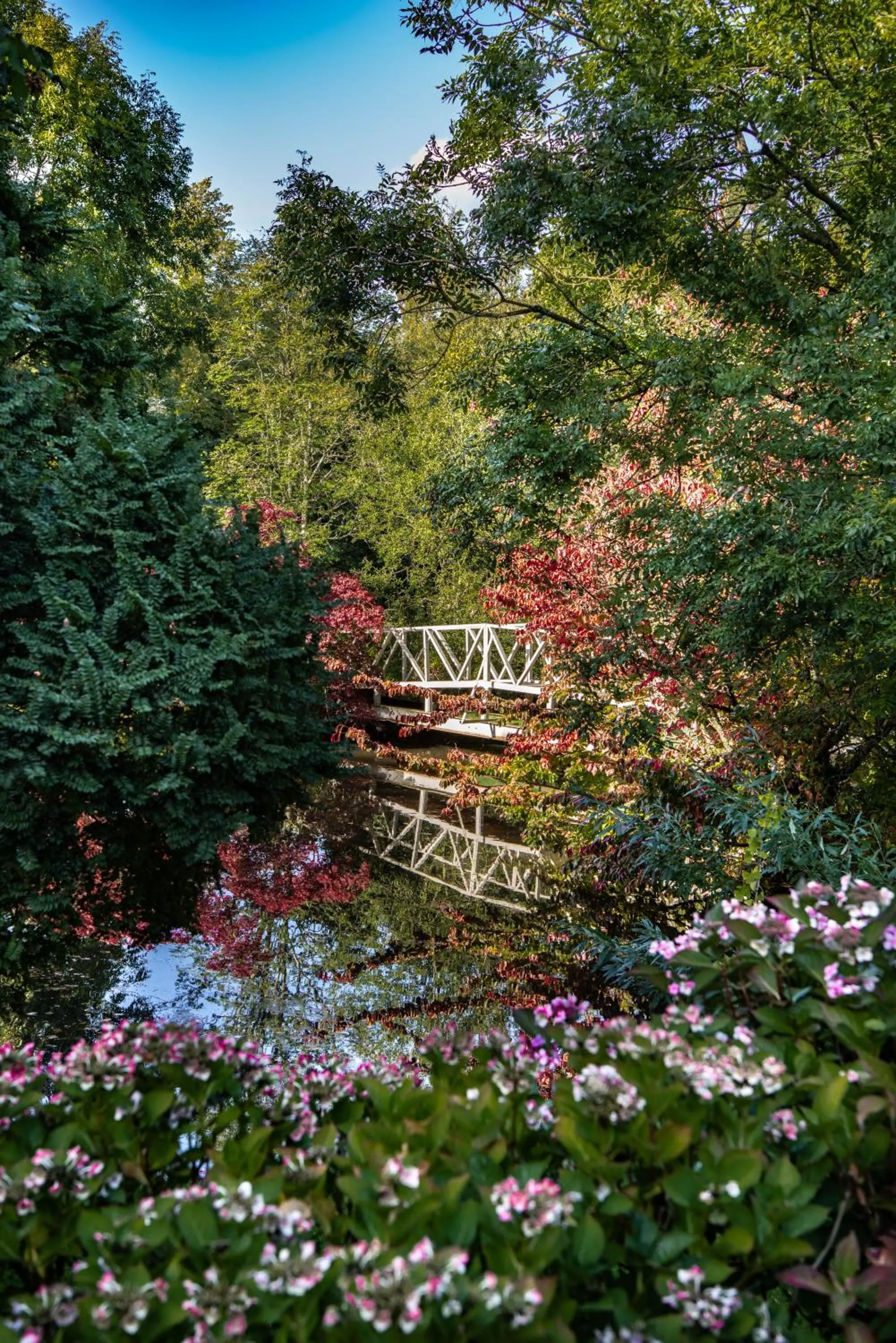 Garden in Marlfield House Hotel Relais et Chateaux