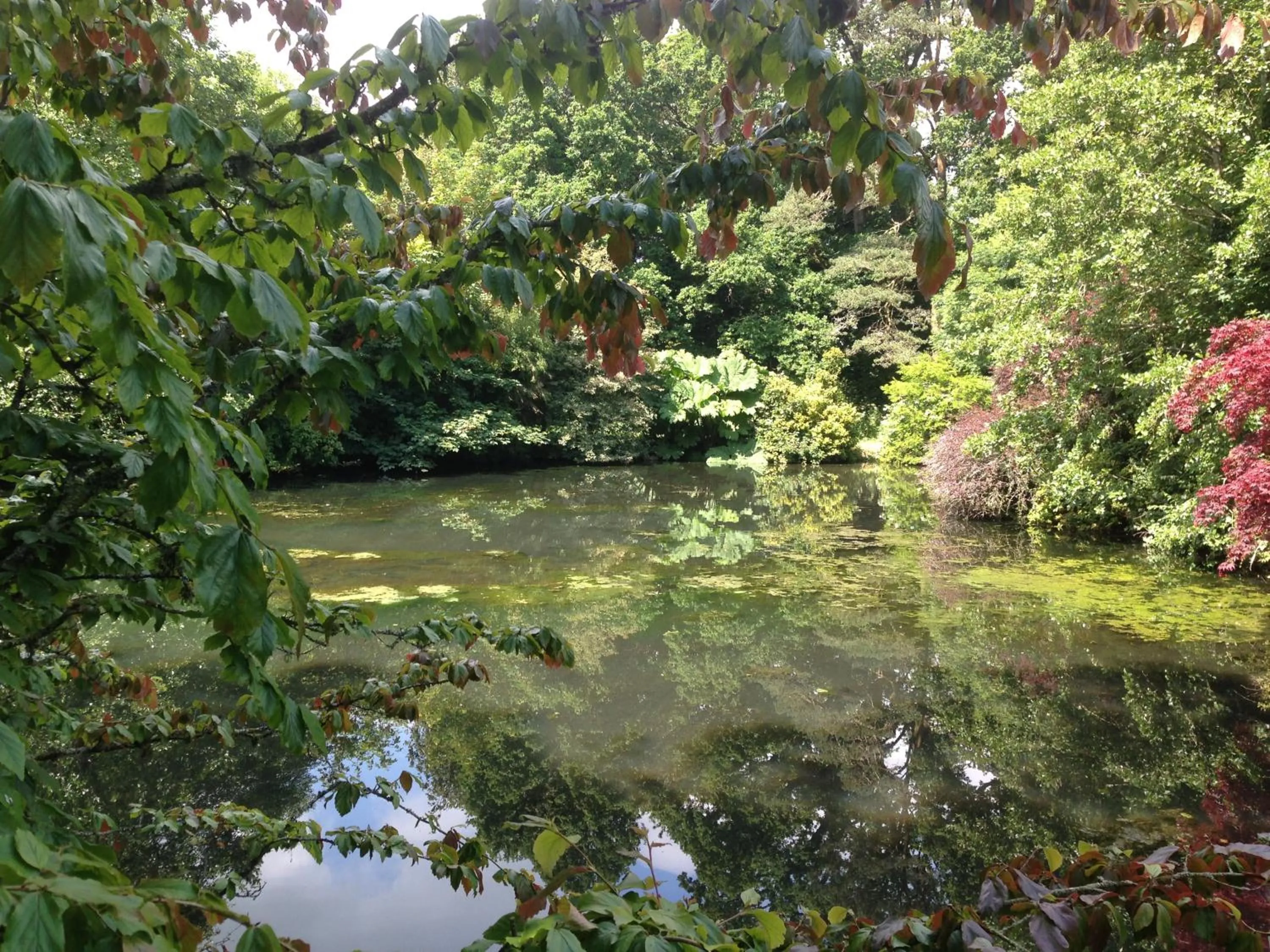 Garden in Marlfield House Hotel Relais et Chateaux