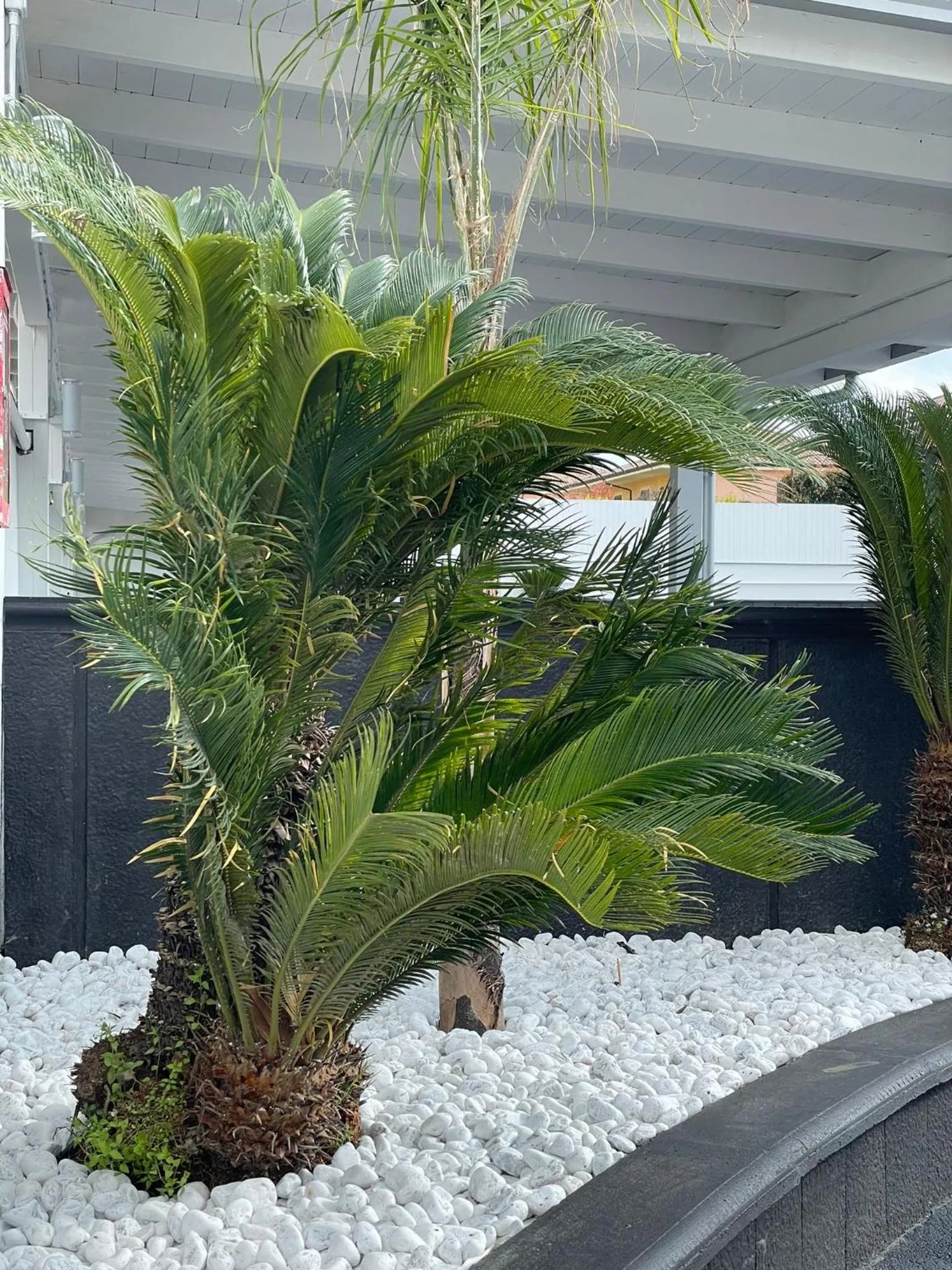 Day in Hotel Cristian