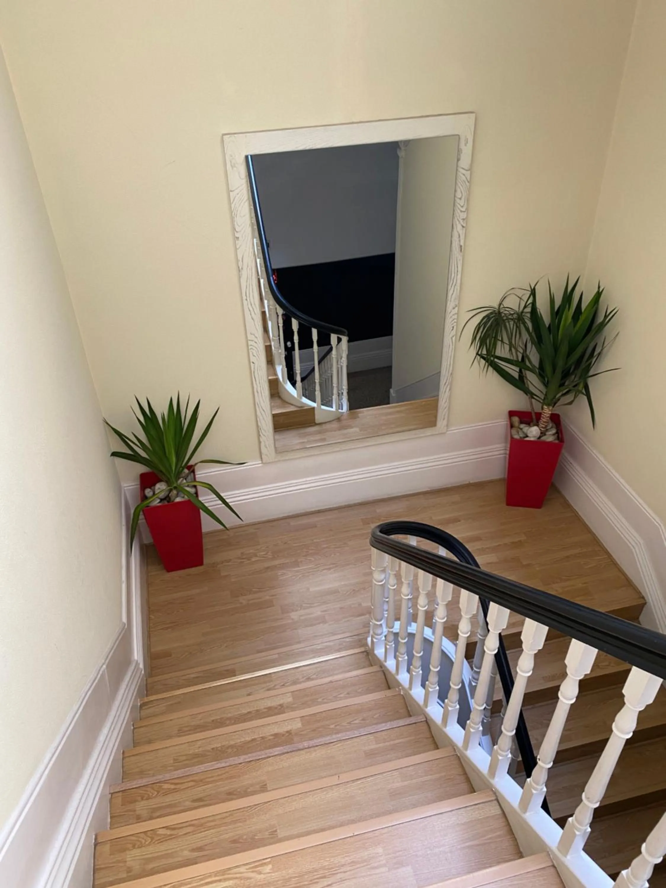 Area and facilities in GuestHouse Marquês