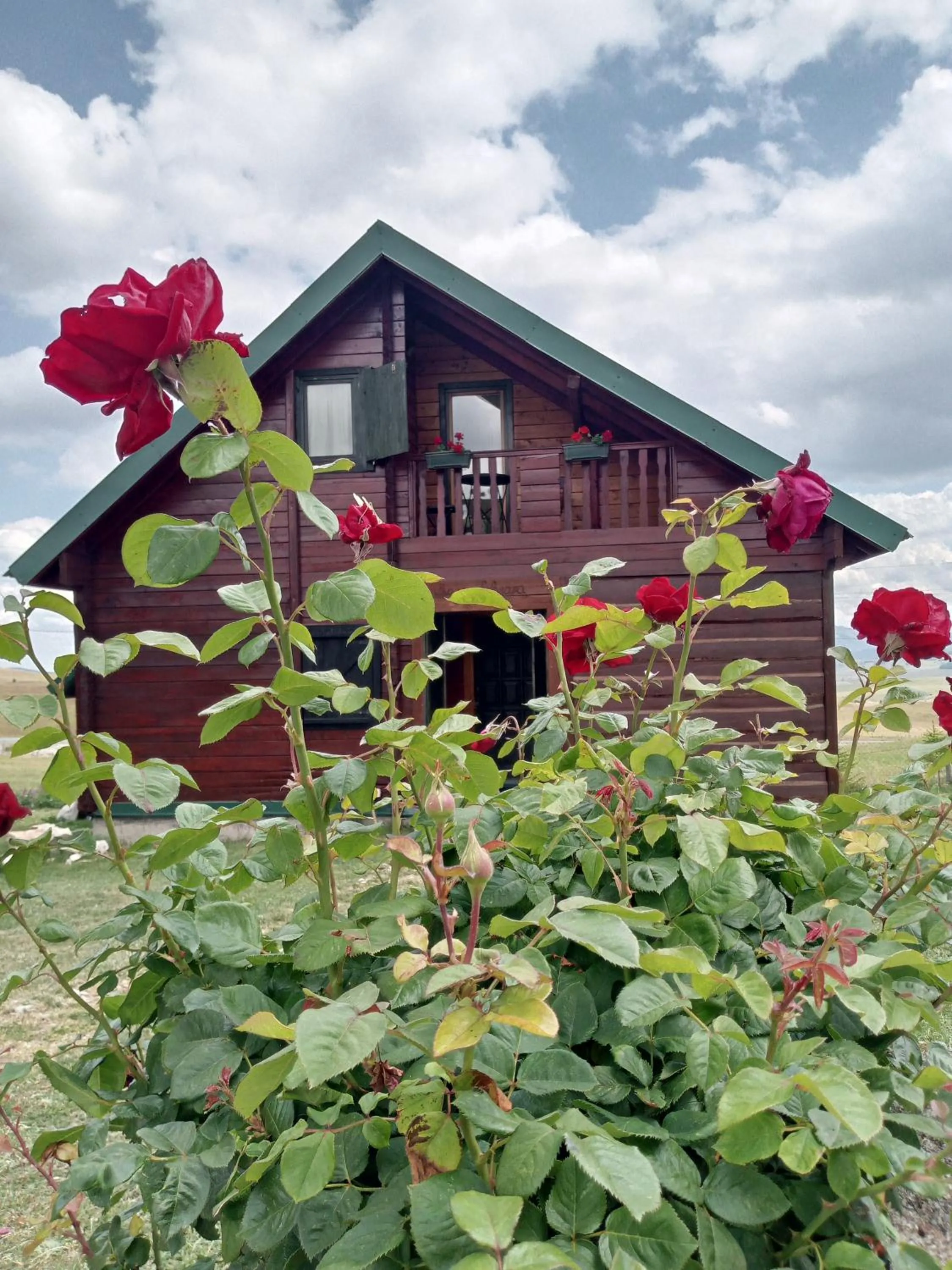 Boskovica Brvnare