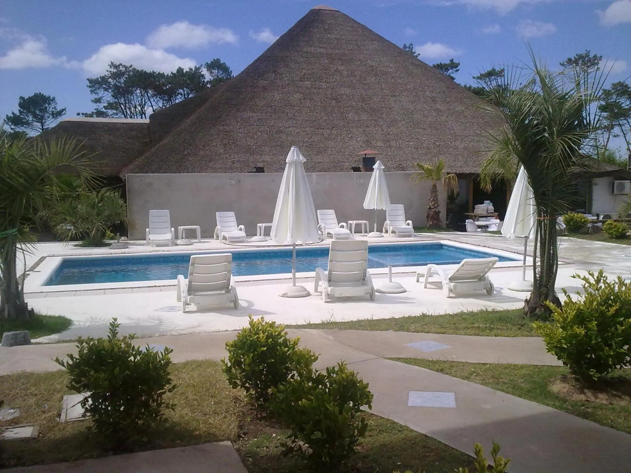 Swimming pool in Palmeras Beach Hotel