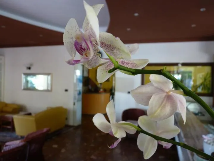 Decorative detail in Hotel Gambrinus