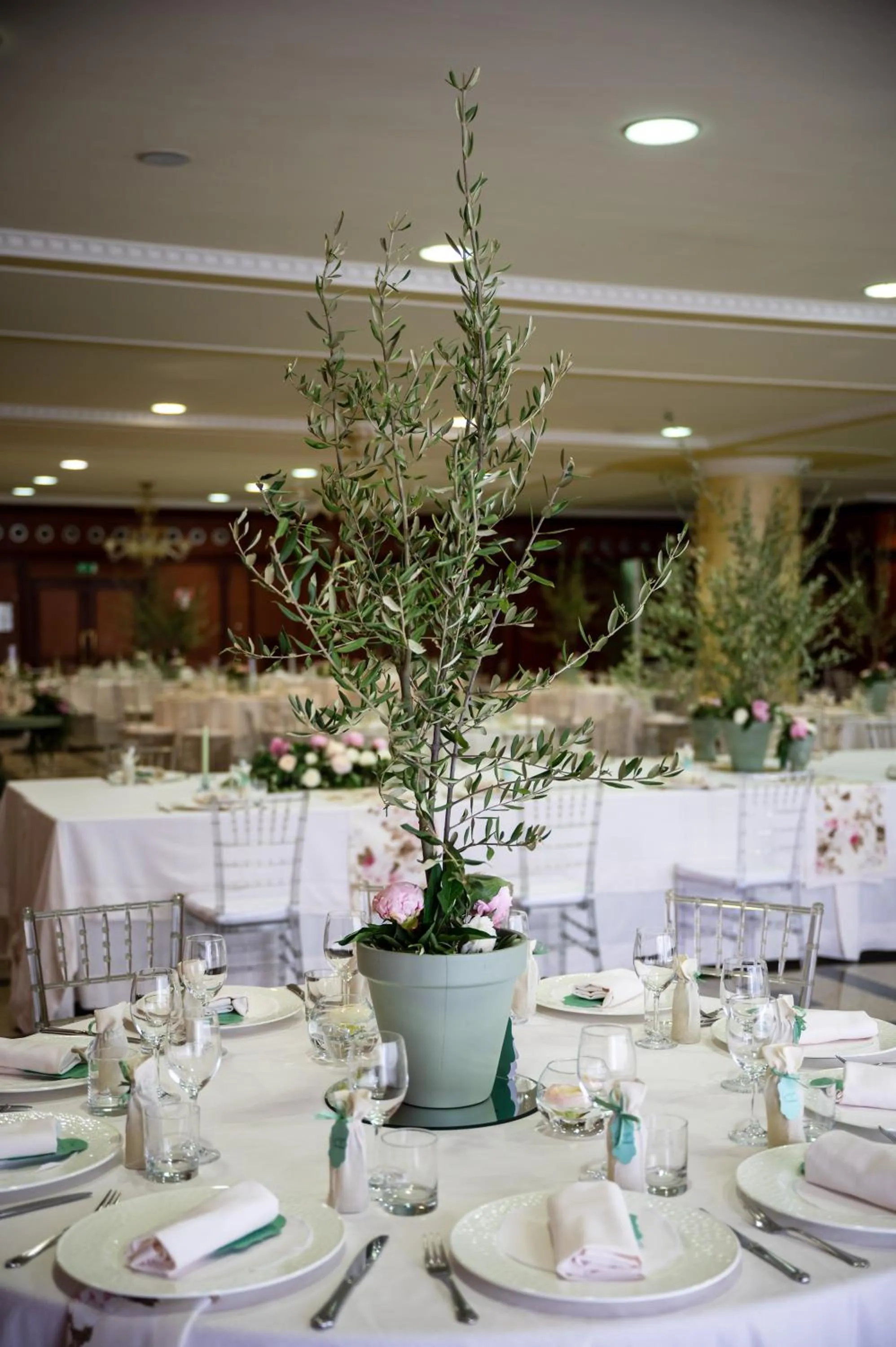 Restaurant/places to eat in Grand Hotel Europa