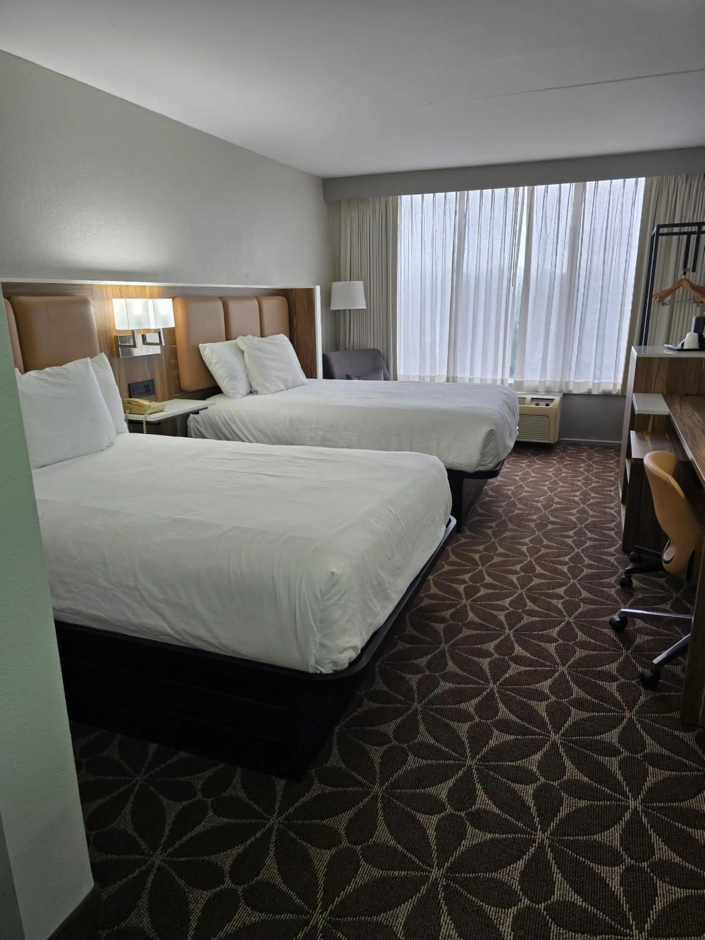 Photo of the whole room, Bed in Wyndham Garden Williamsburg Busch Gardens Area