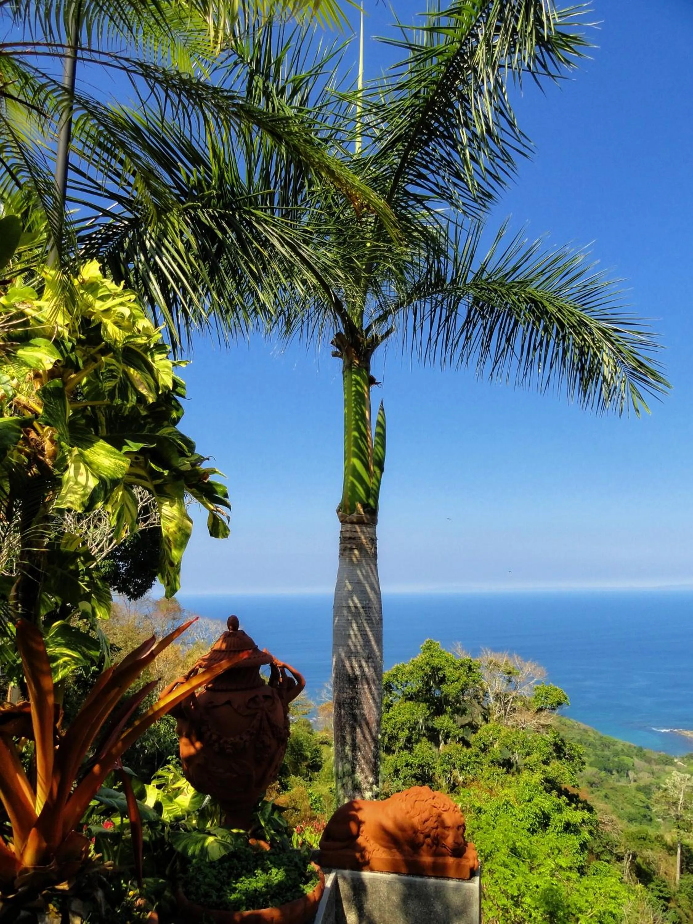 Balcony/Terrace in Hotel Villa Caletas