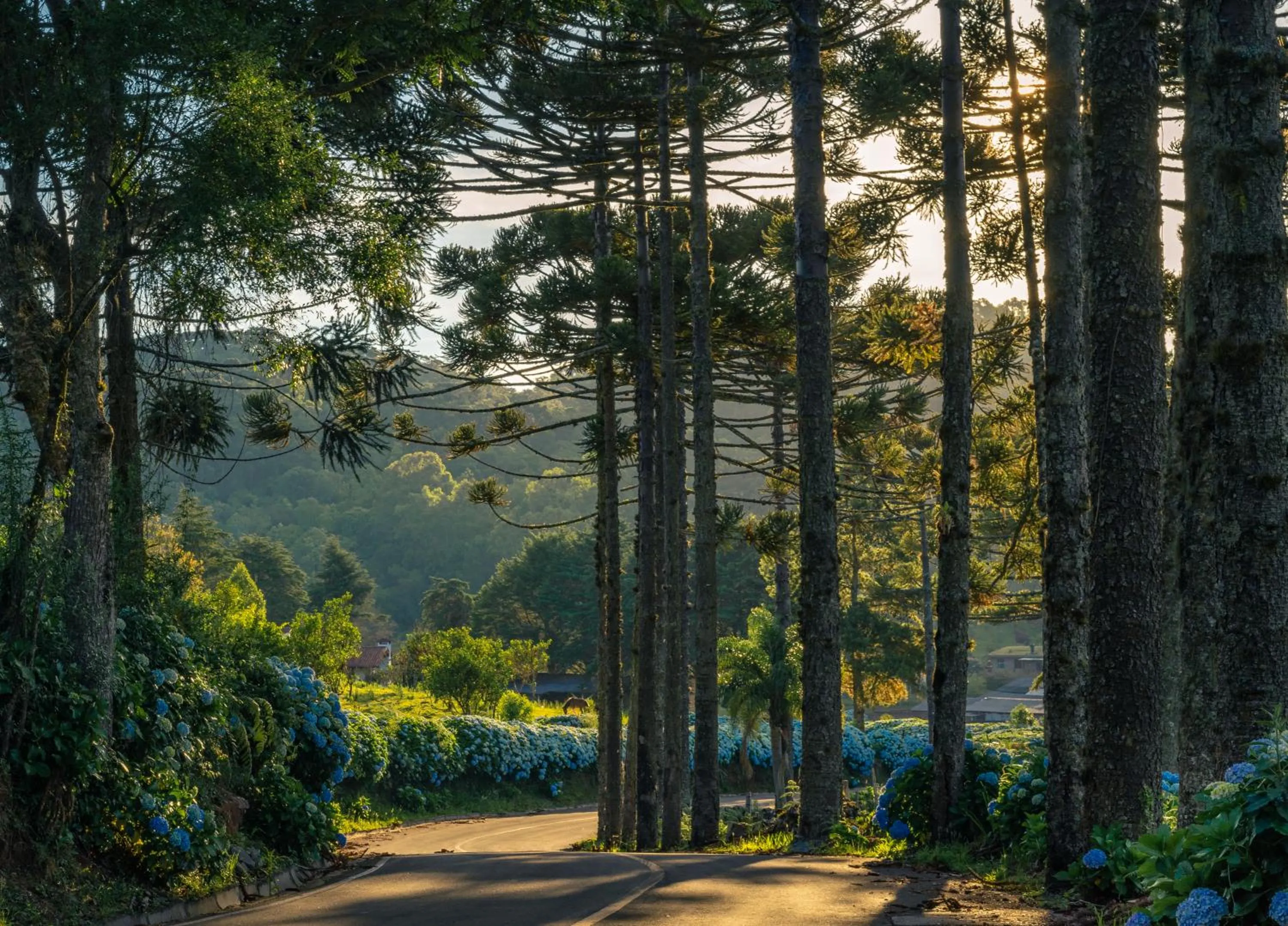 Entertainment in Hotel Fioreze Chalés