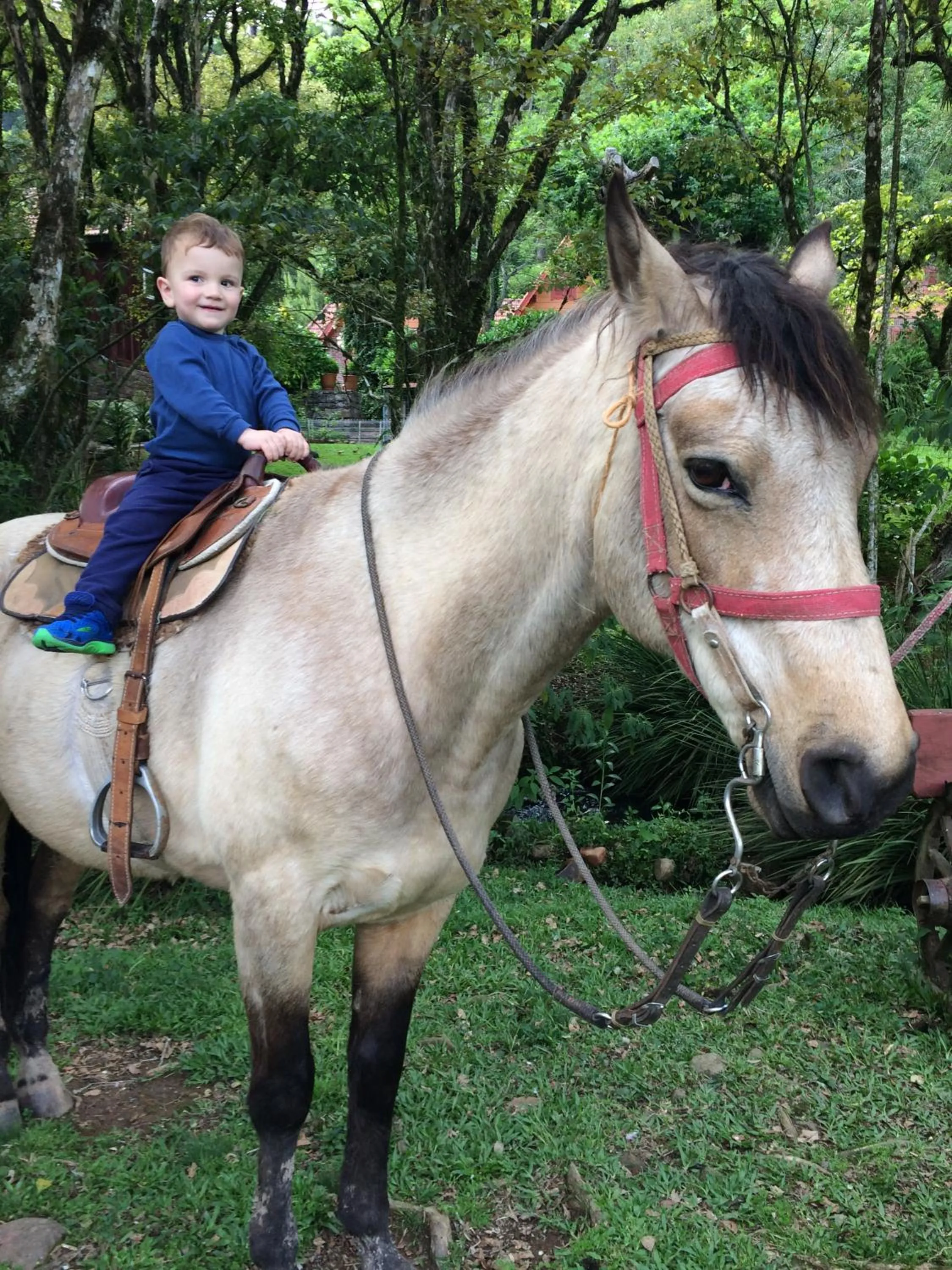 Animals in Hotel Fioreze Chalés