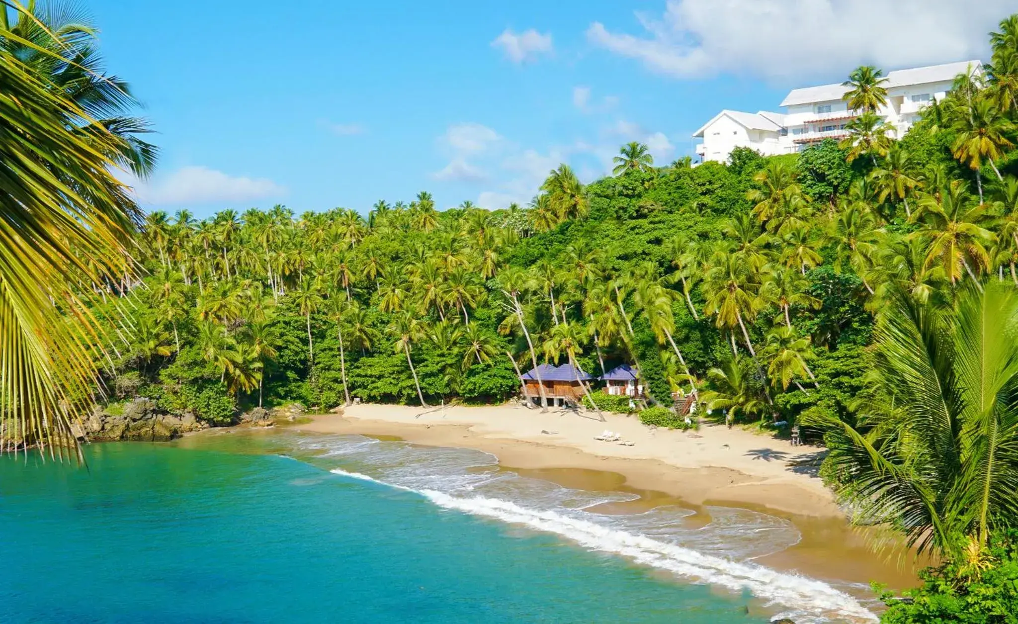 Bird's eye view in Xeliter Vista Mare, Samana Bird's eye view in Xeliter Vista Mare, Samana