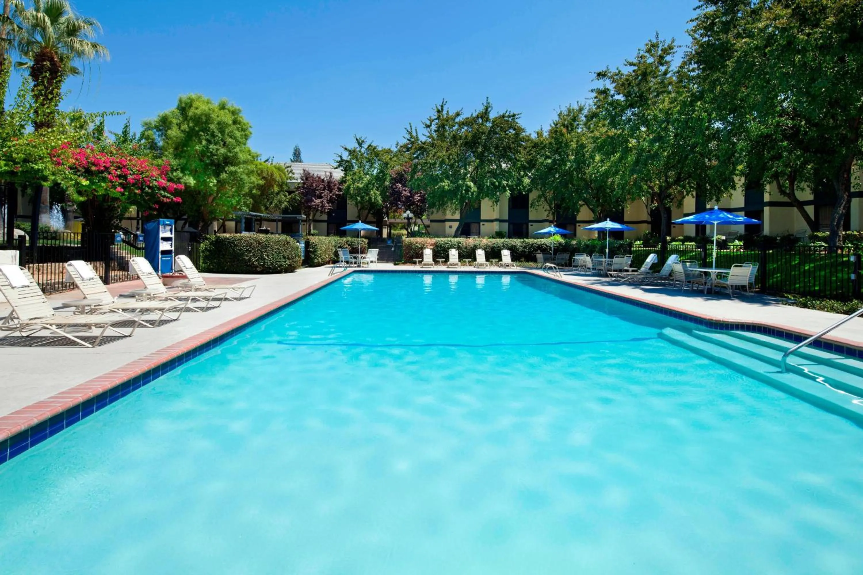 Swimming pool in Four Points by Sheraton Bakersfield