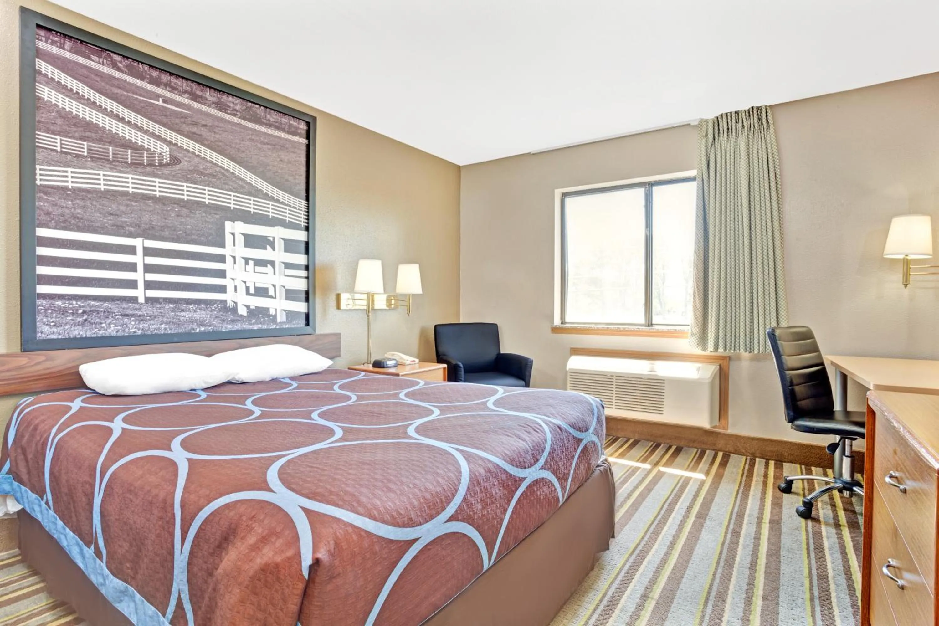 Bed in Super 8 by Wyndham Louisville Airport