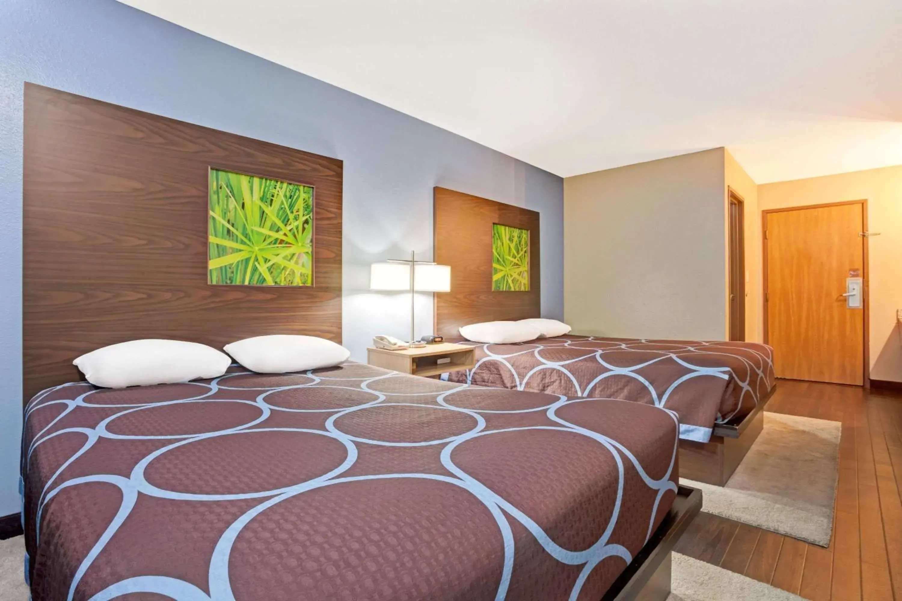 Photo of the whole room, Bed in Super 8 by Wyndham Louisville Airport