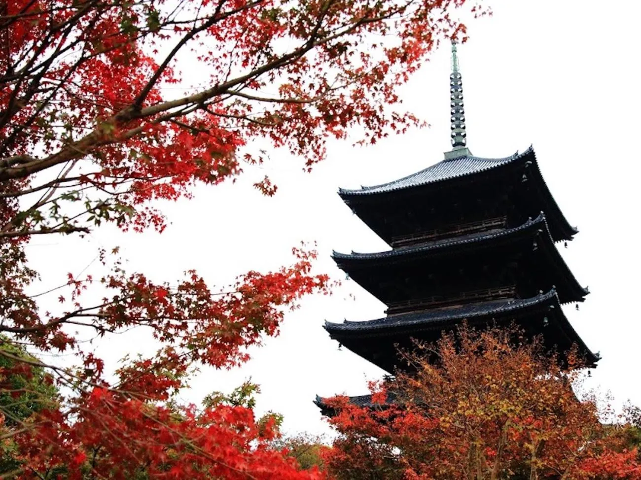 Nearby landmark in カモンイン 比永城町