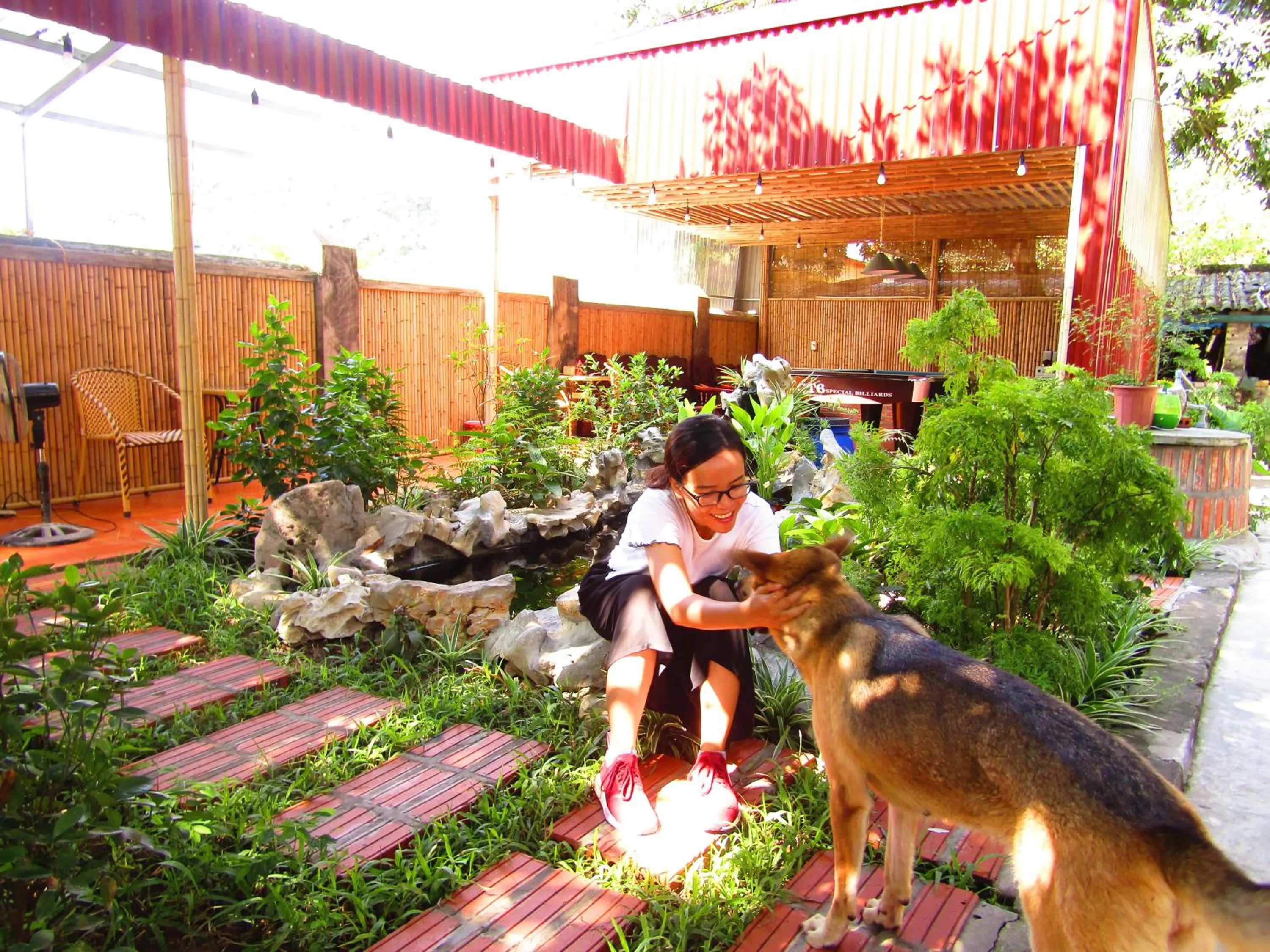 Pets in Ninh Binh Mountain Side Homestay & Cafe