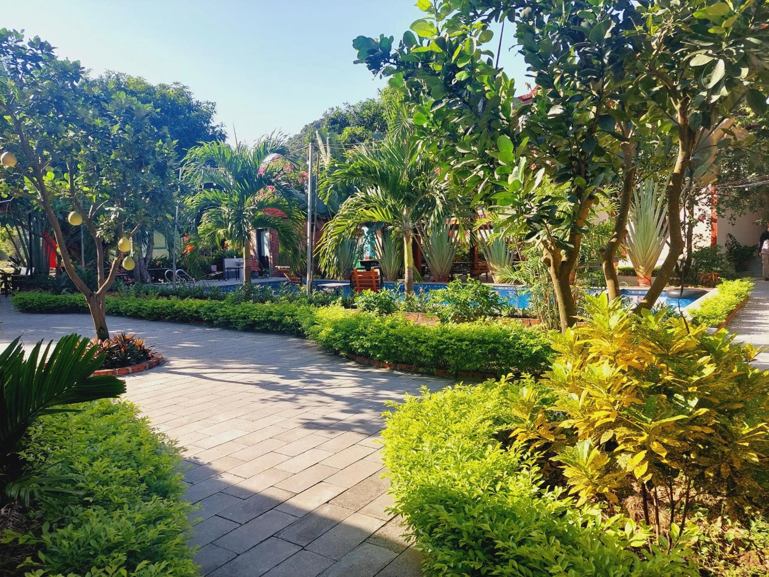 Garden in Ninh Binh Mountain Side Homestay & Cafe