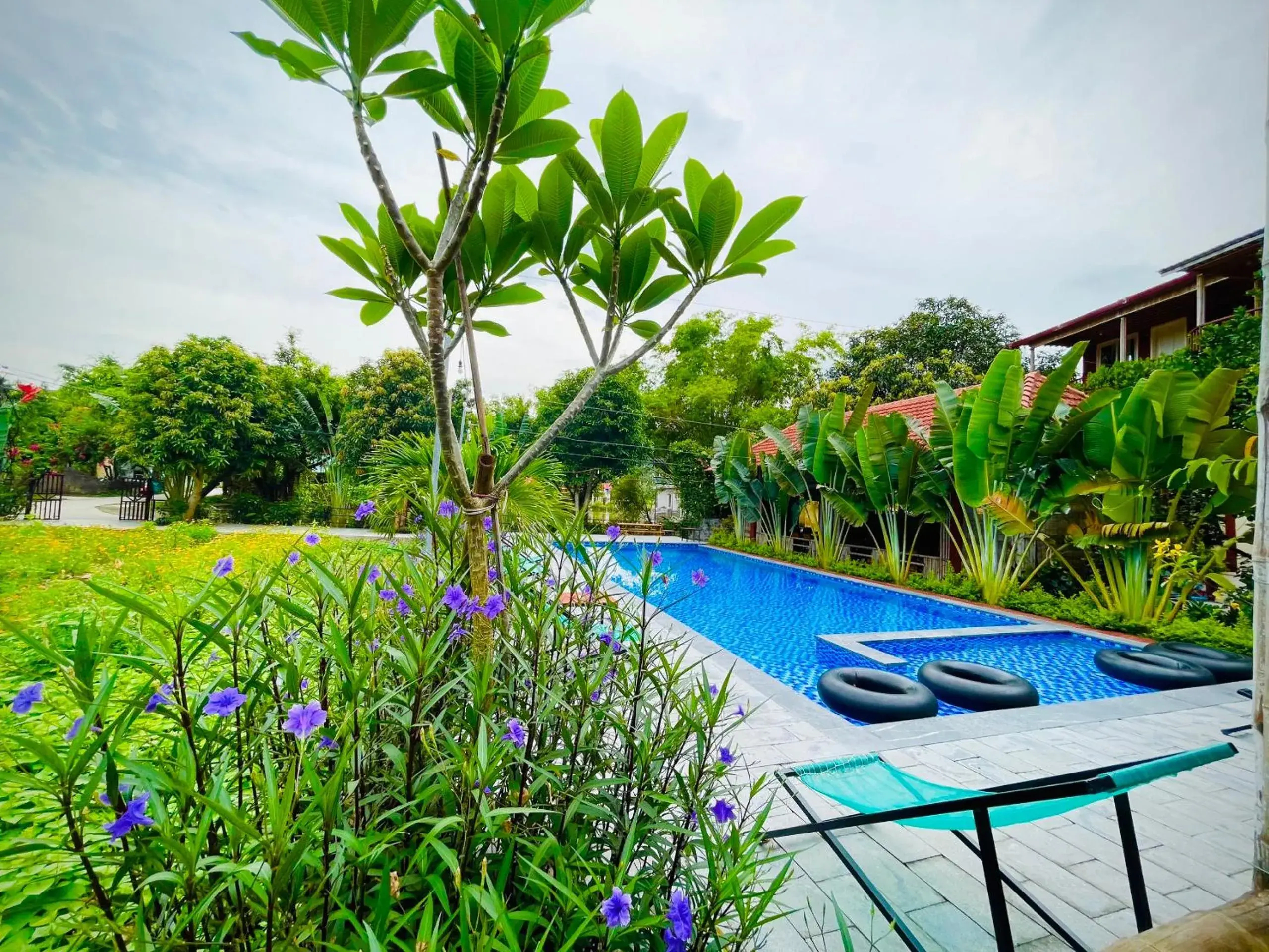 Pool view in Ninh Binh Mountain Side Homestay & Cafe Pool view in Ninh Binh Mountain Side Homestay & Cafe