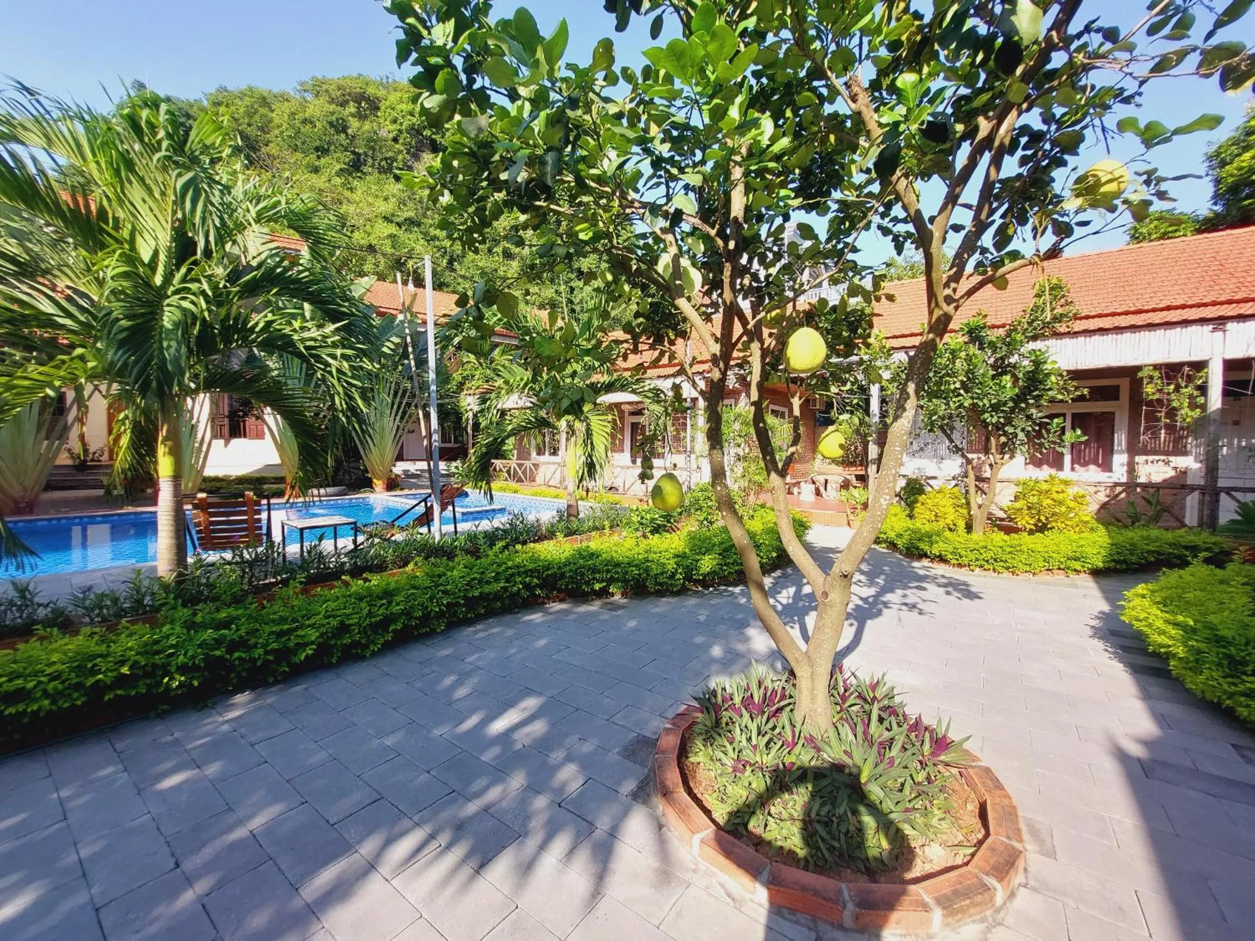 Garden in Ninh Binh Mountain Side Homestay & Cafe