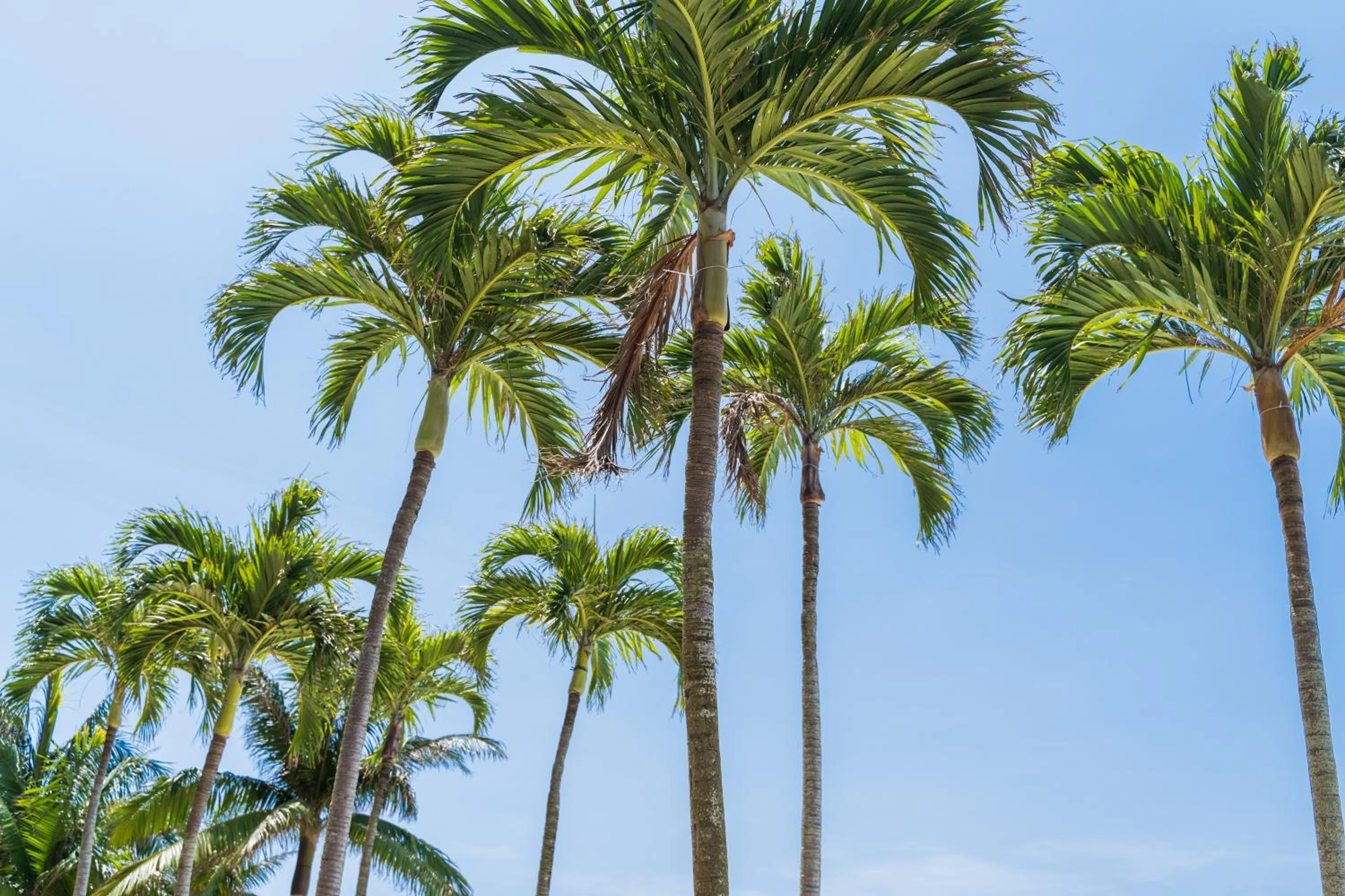 Day in Southern Beach Hotel & Resort