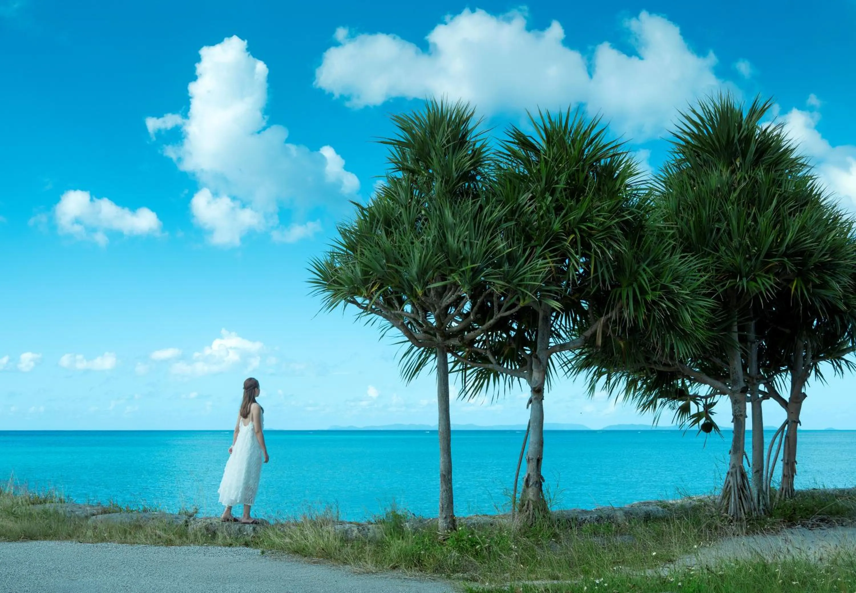 Beach in Southern Beach Hotel & Resort